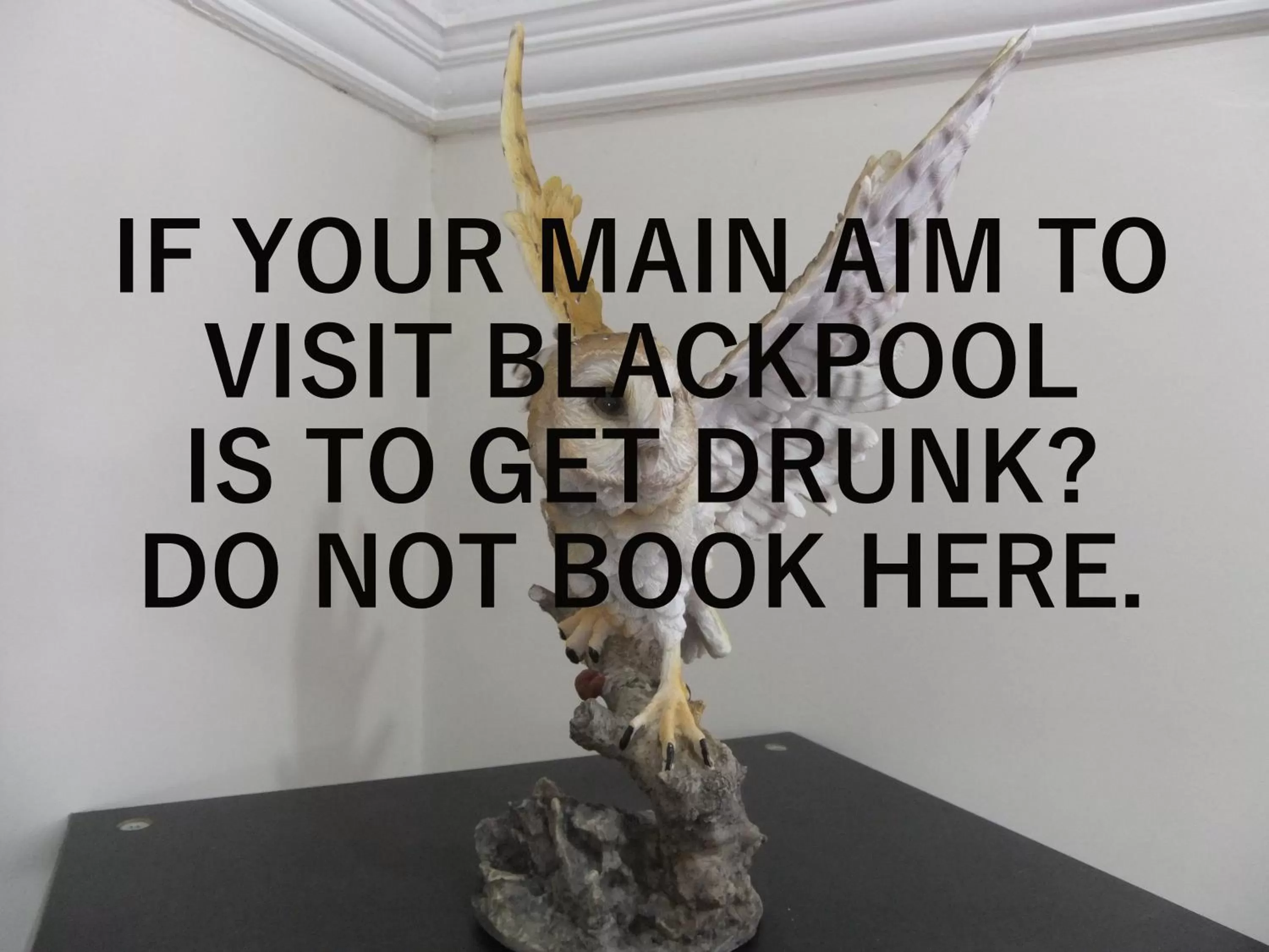 Breakfast, Property Logo/Sign in FourRooms - Couples Only