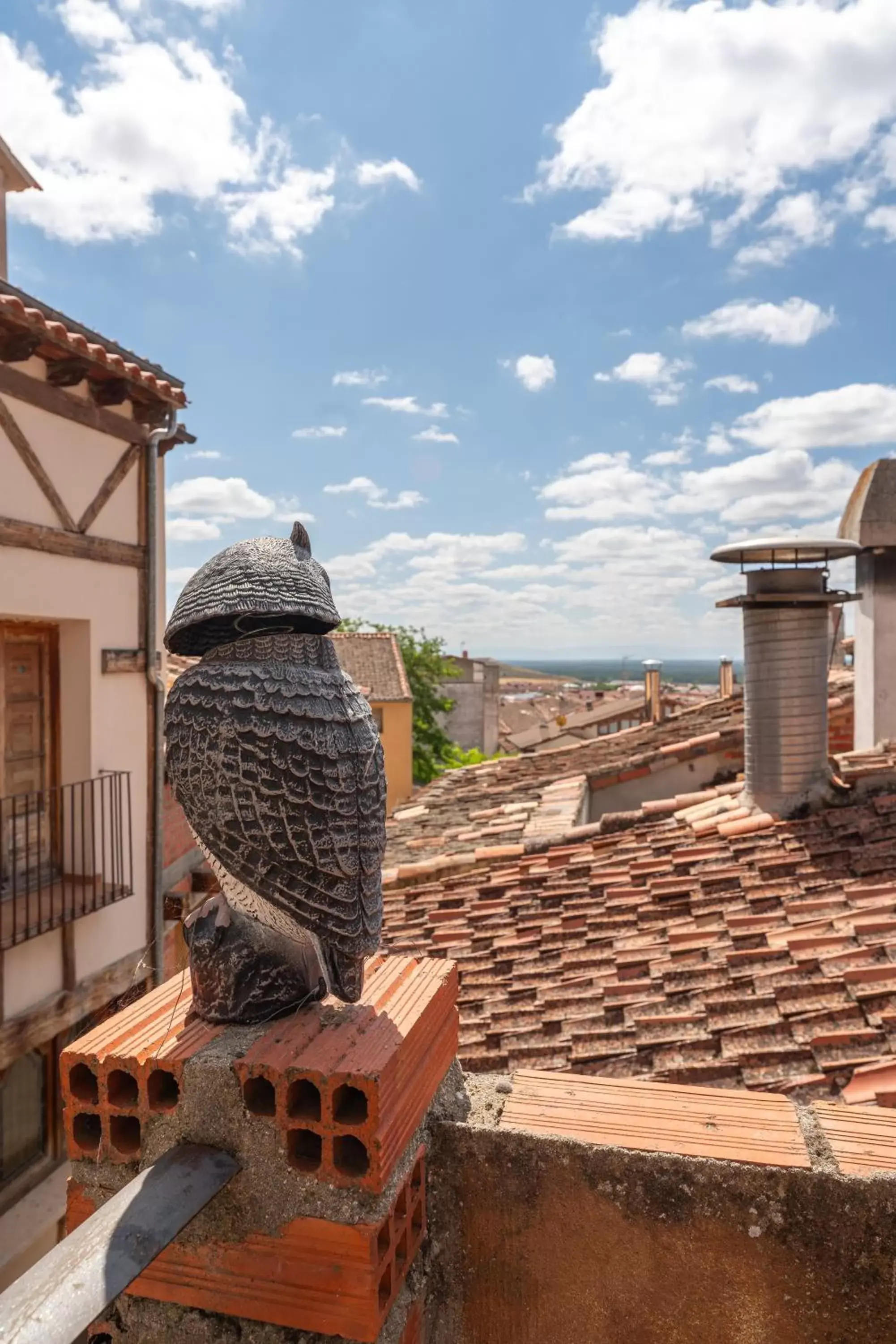 View (from property/room) in Hotel Rincón Castellano