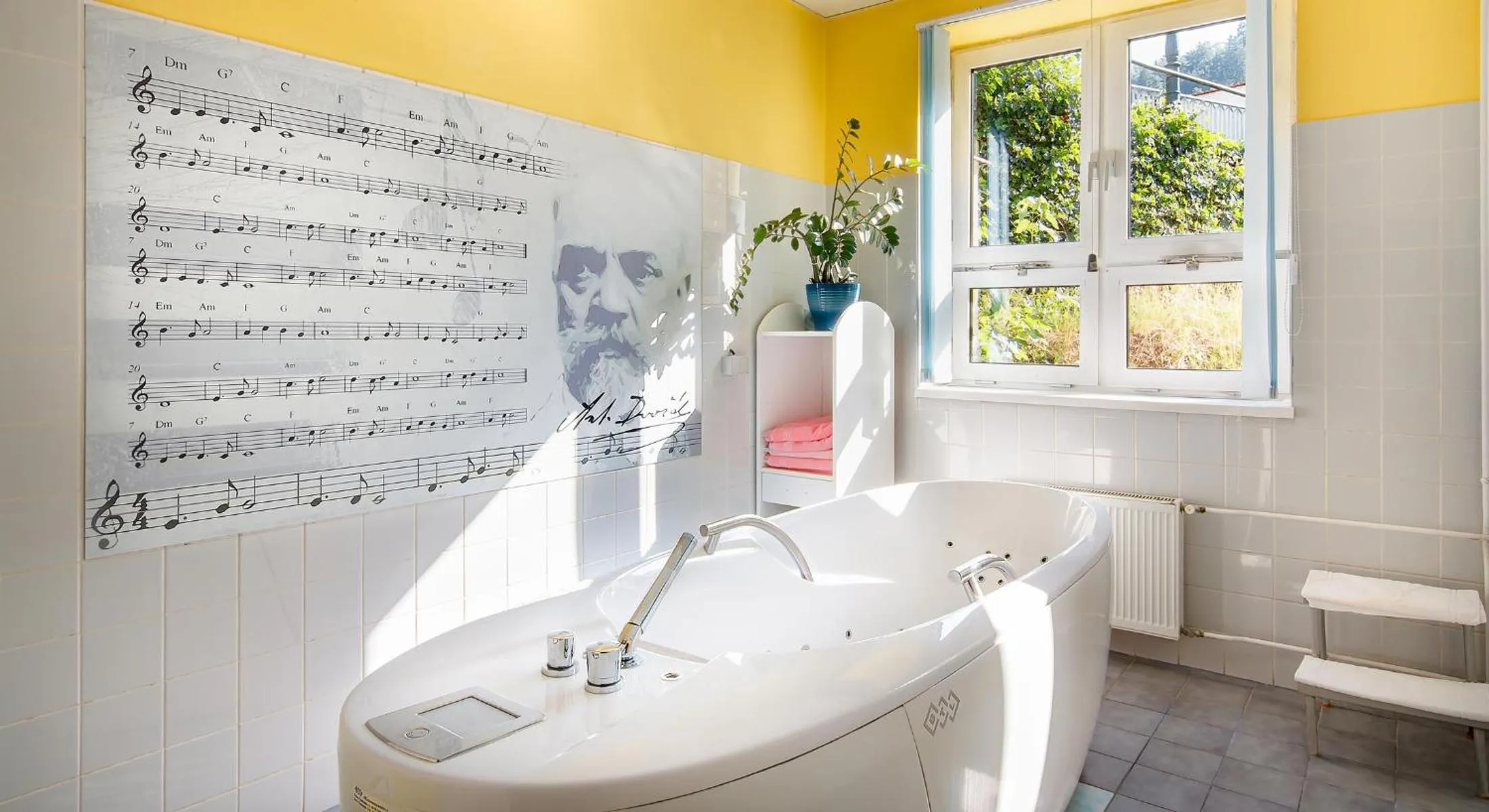 Spa and wellness centre/facilities in Dvorak Spa & Wellness