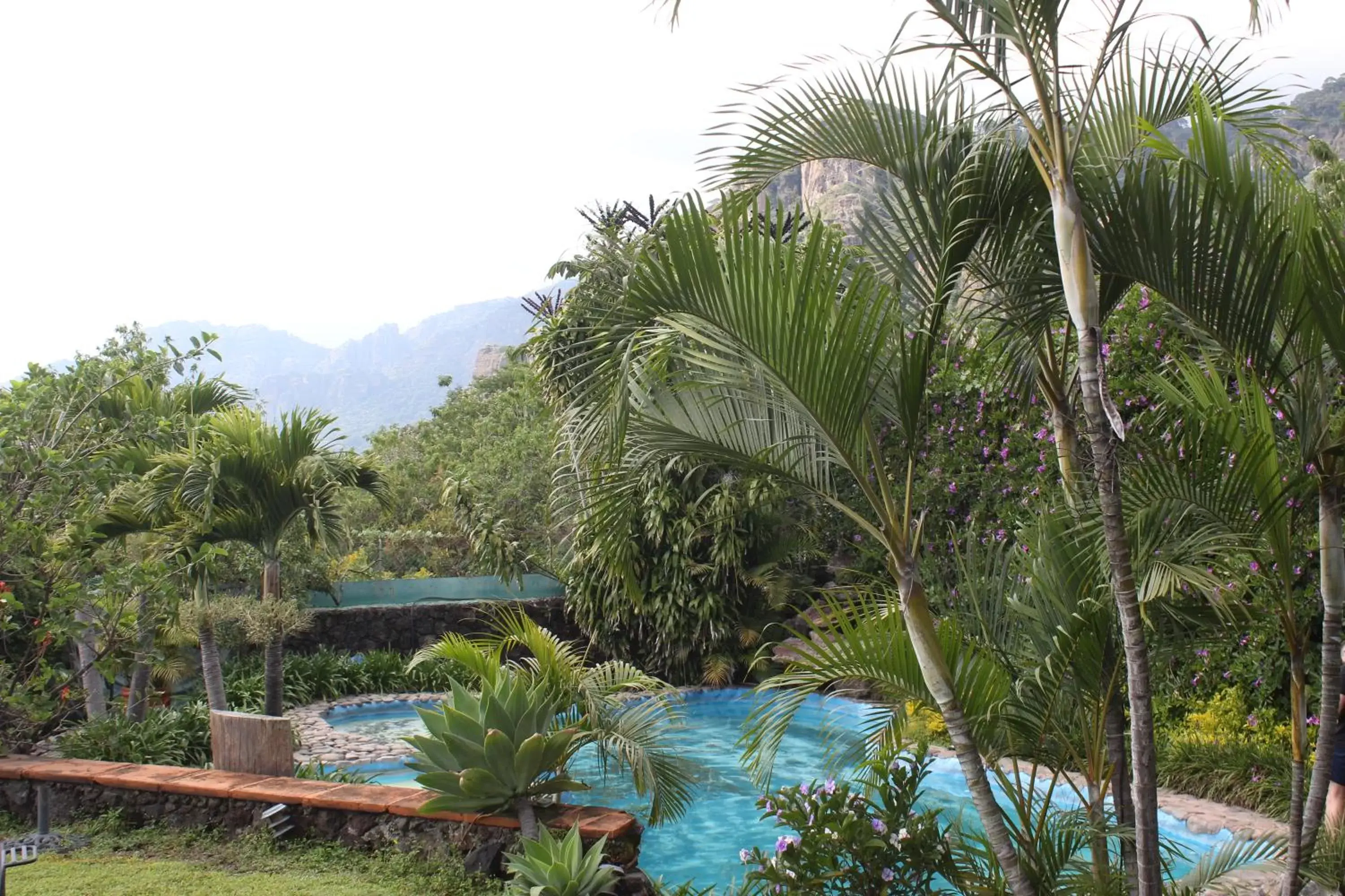 Swimming pool, Pool View in Hotel Valle Místico