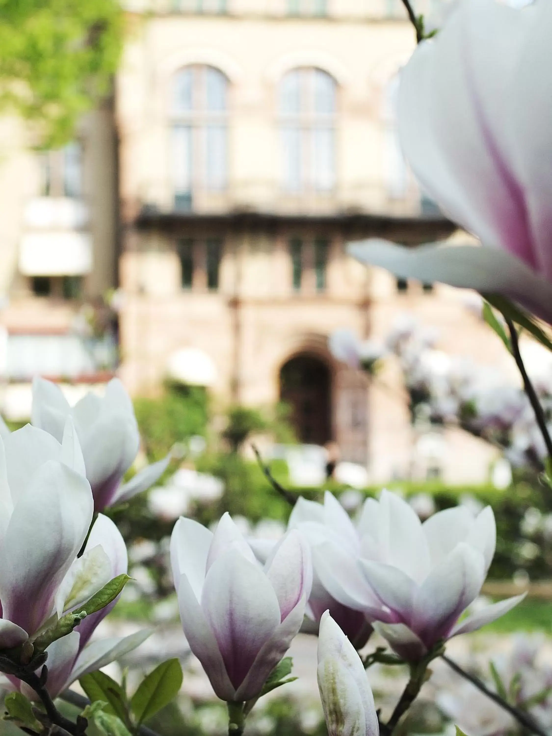 Facade/entrance in Grand Hotel Lund Facade/entrance in Grand Hotel Lund
