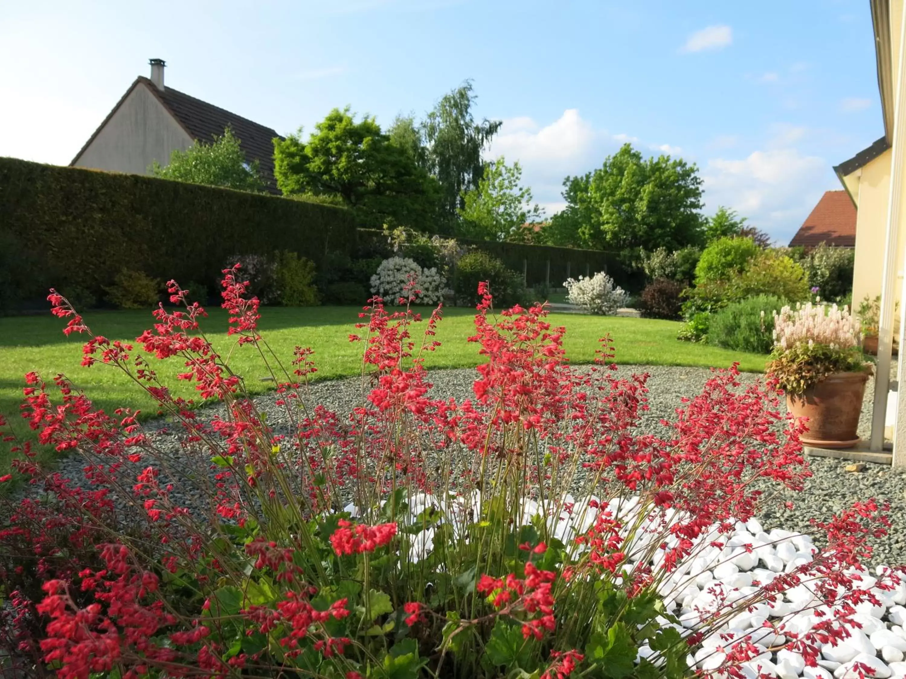 Garden in St Germain