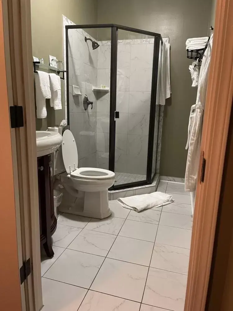 Shower, Bathroom in National Hotel Jackson