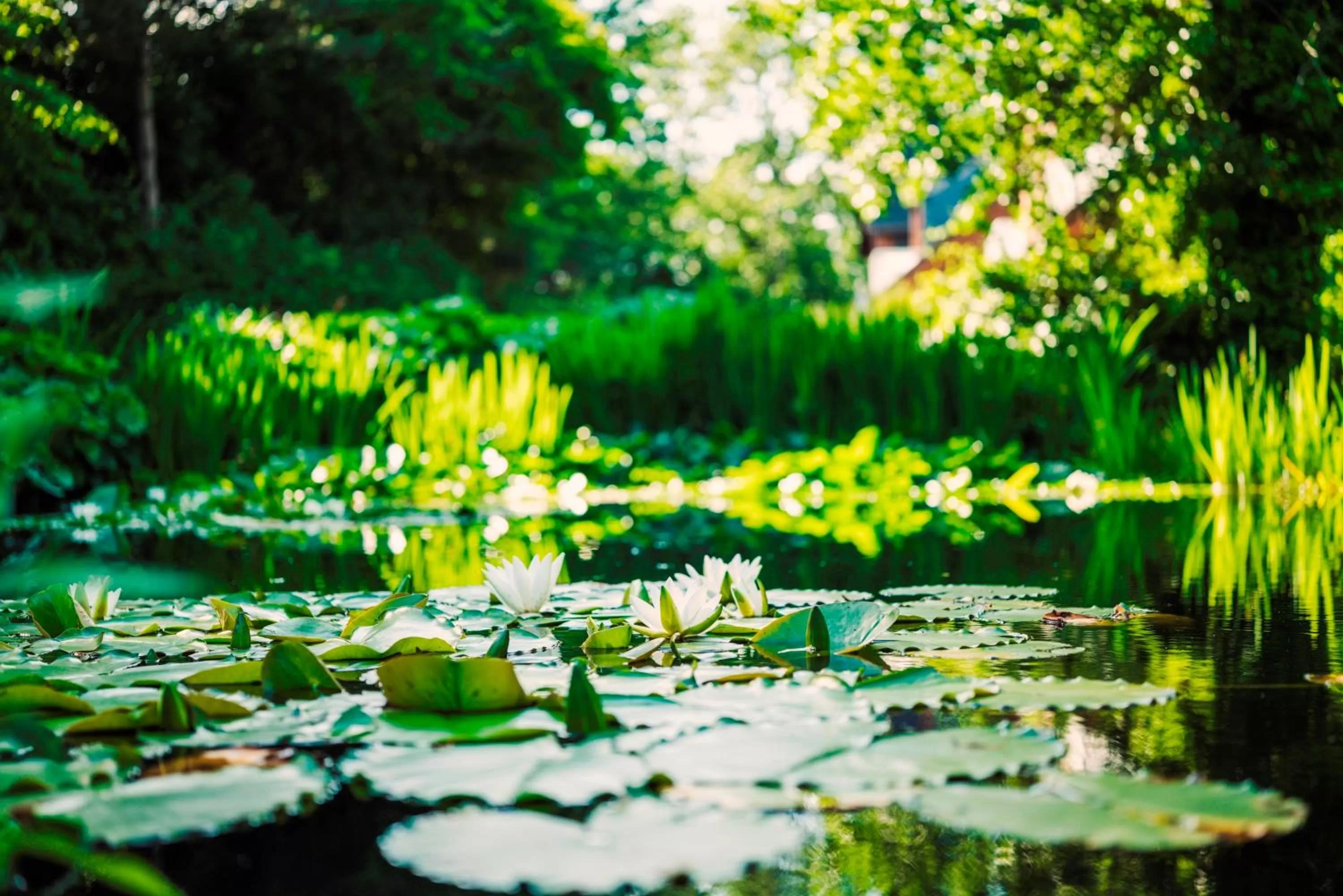 Spring in Relais & Châteaux Landhaus Stricker