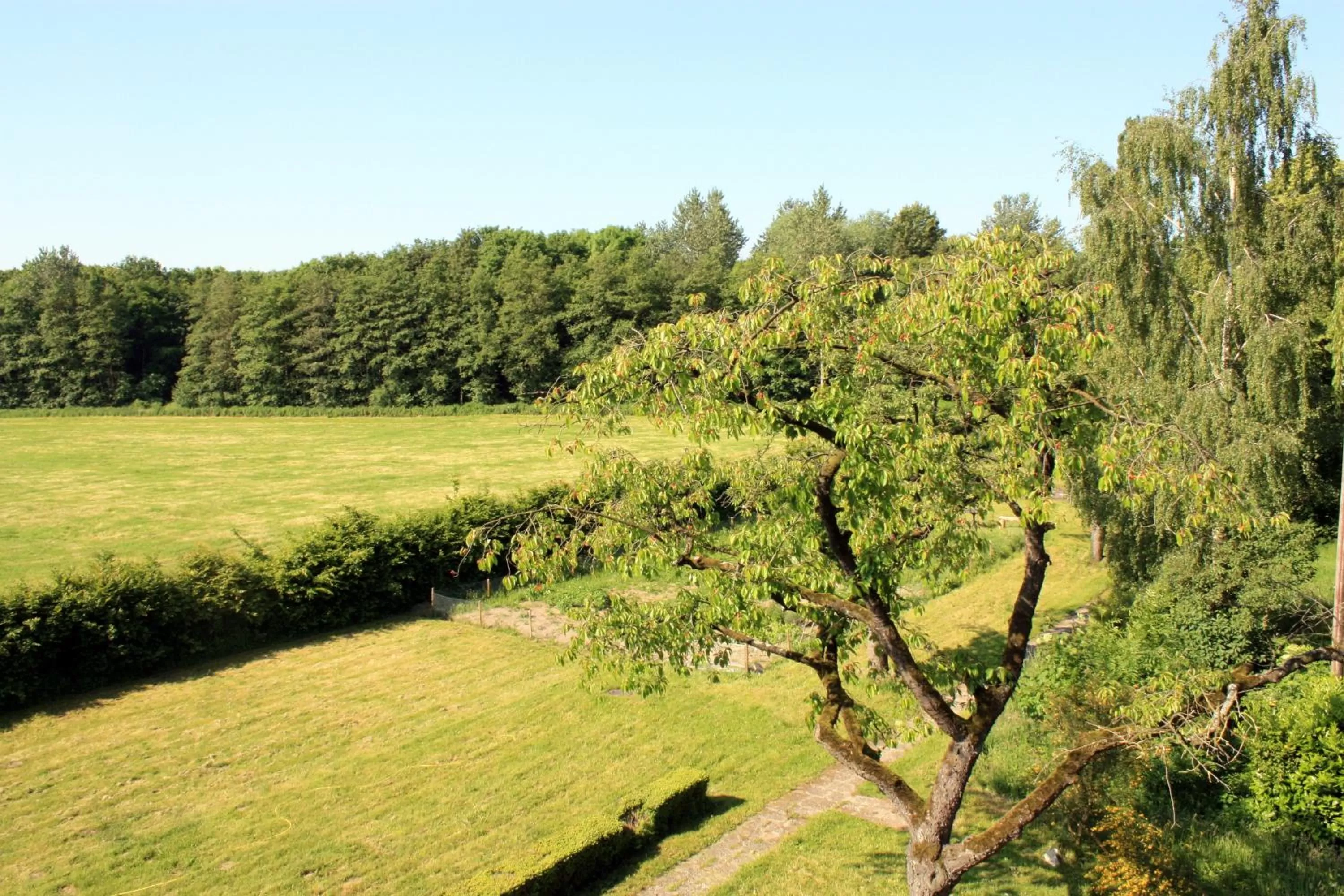 Spring in World House Wetten