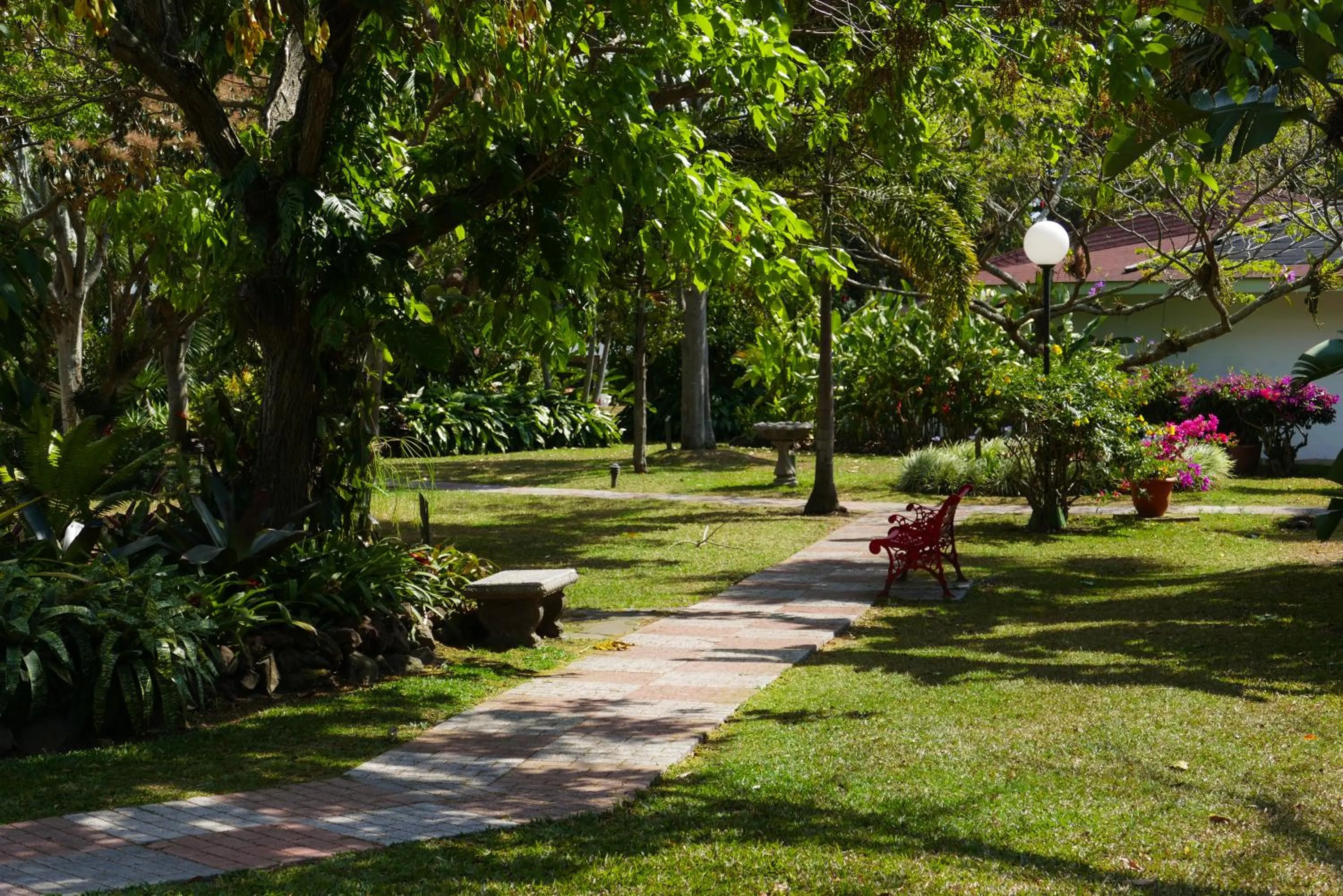 Garden in Hotel Bougainvillea San José