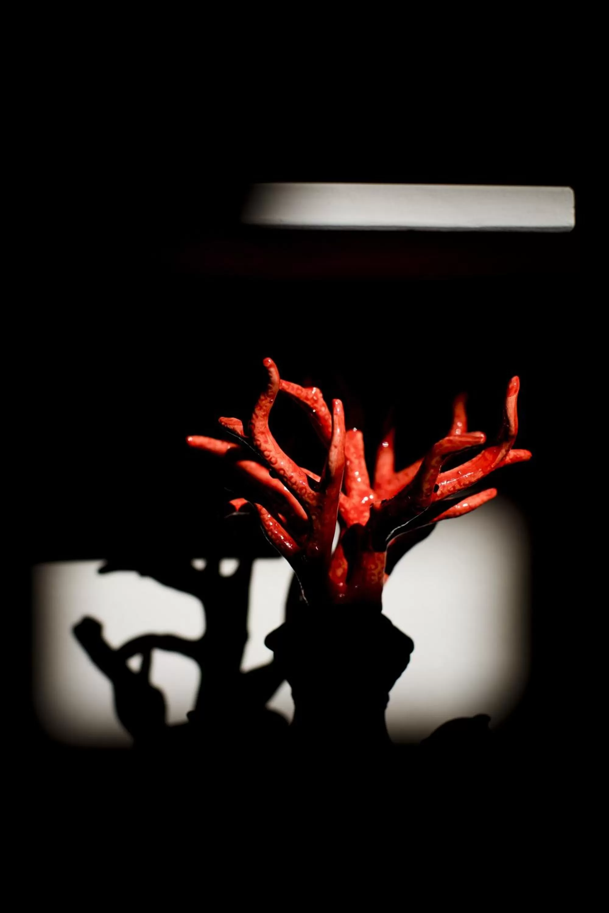 Lobby or reception in Seven Historical Suites