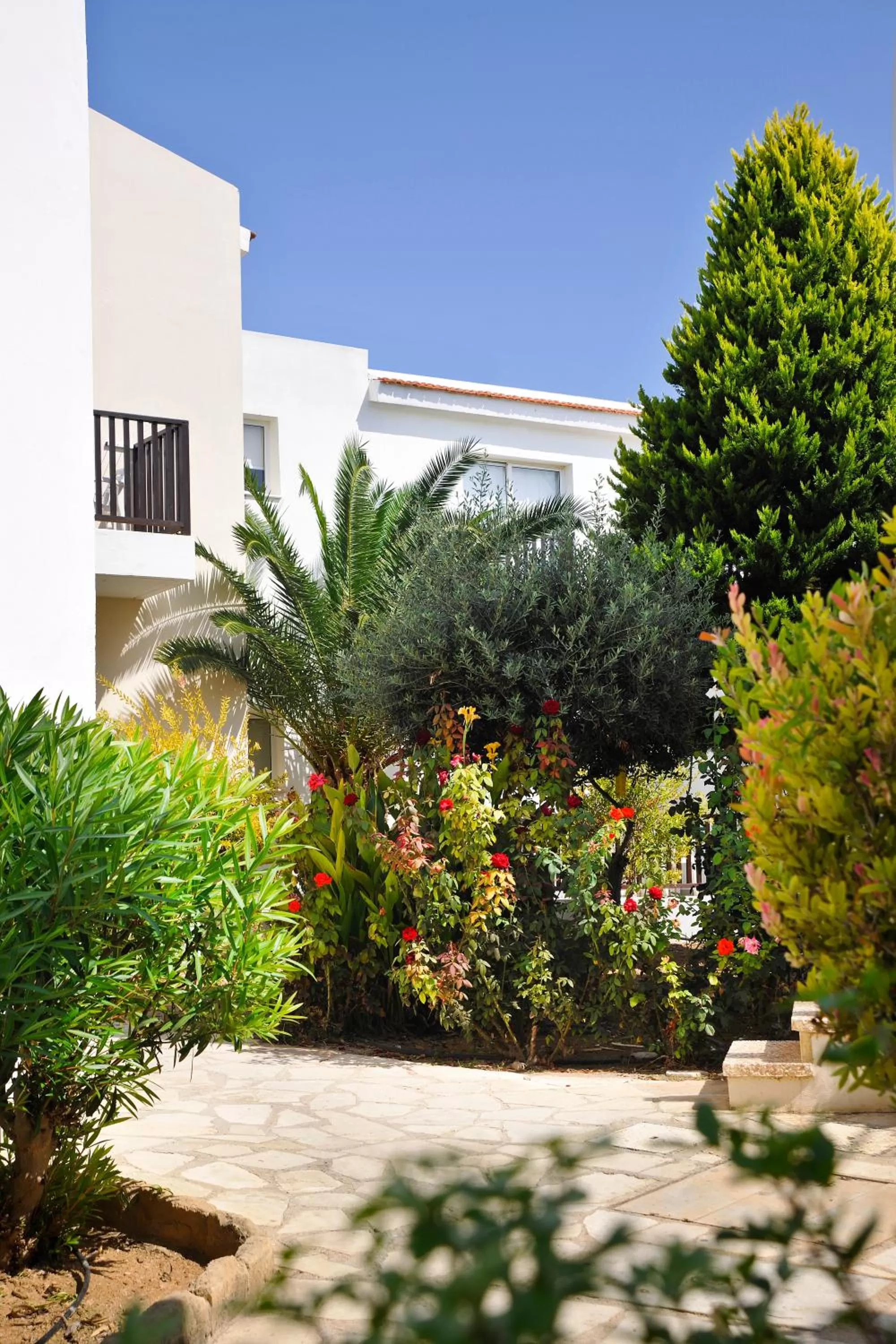 Garden in Akti Beach Hotel & Village Resort