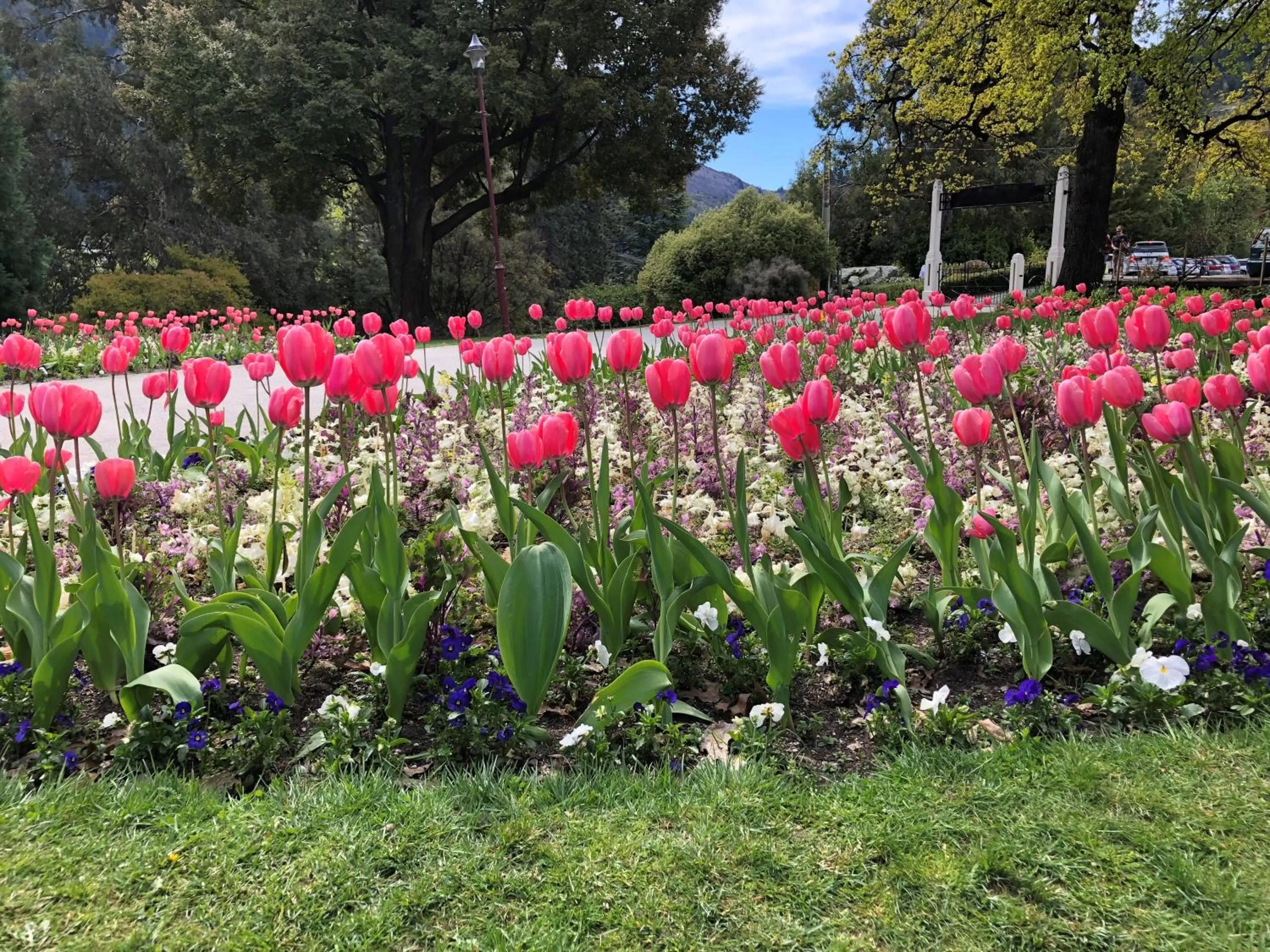 Spring in Blue Peaks Lodge