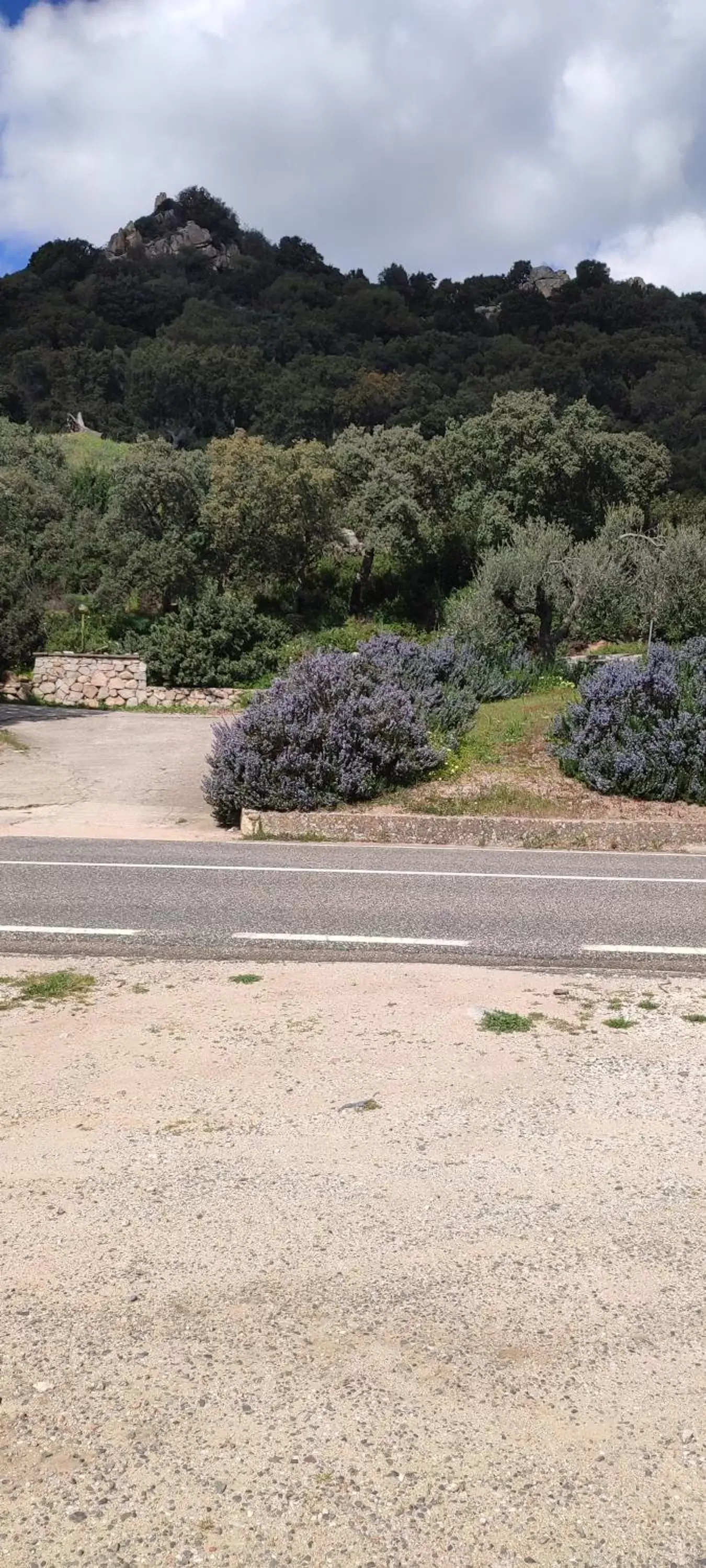 Facade/entrance in B&B Il Nuraghe