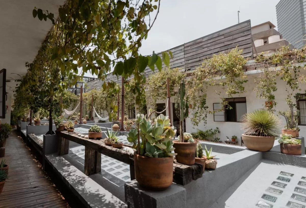 Other in Casa Lomah Hotel