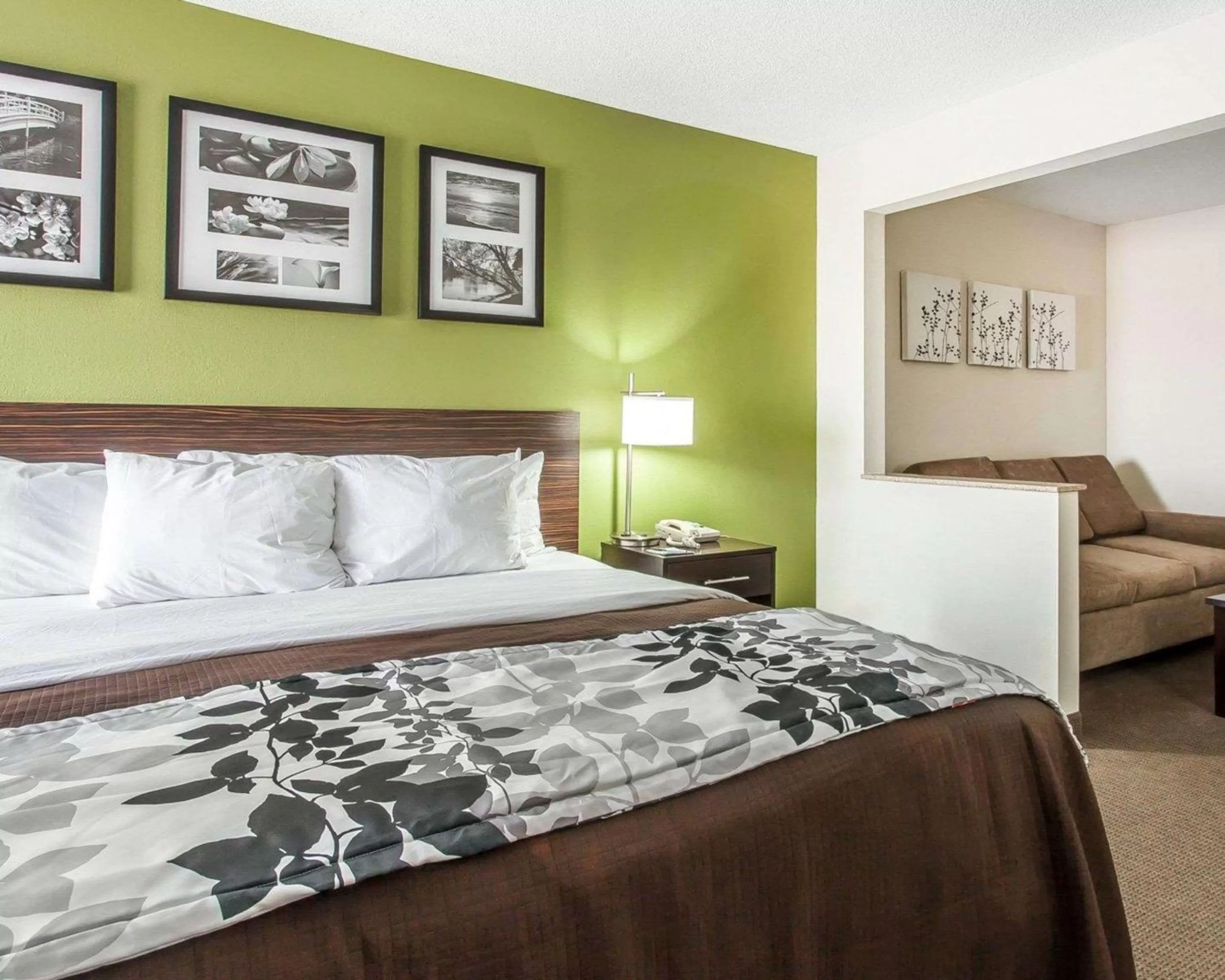 Photo of the whole room, Bed in Sleep Inn & Suites Near I-90 and Ashtabula