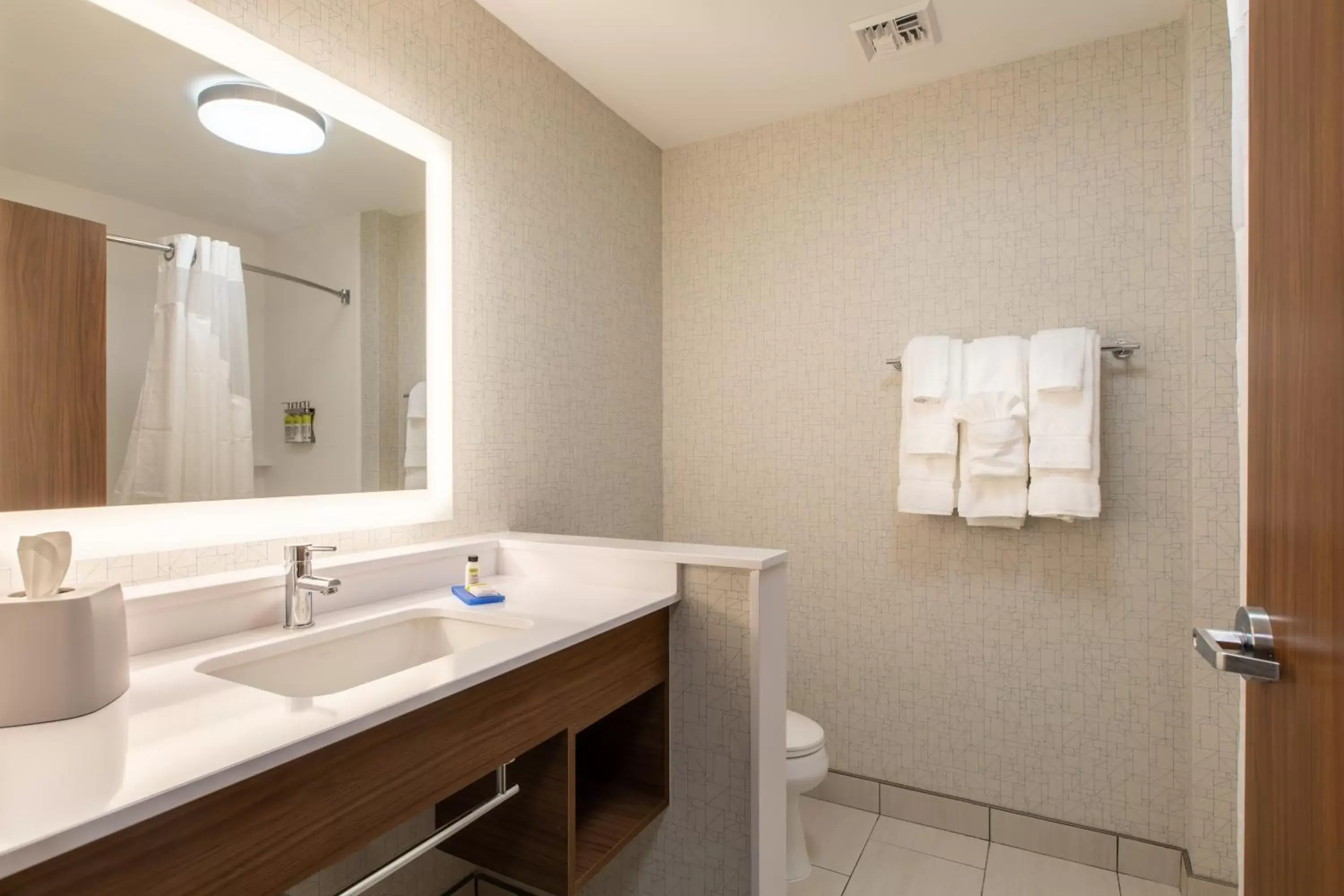 Photo of the whole room, Bathroom in Holiday Inn Express & Suites Greenville S - Piedmont, an IHG Hotel