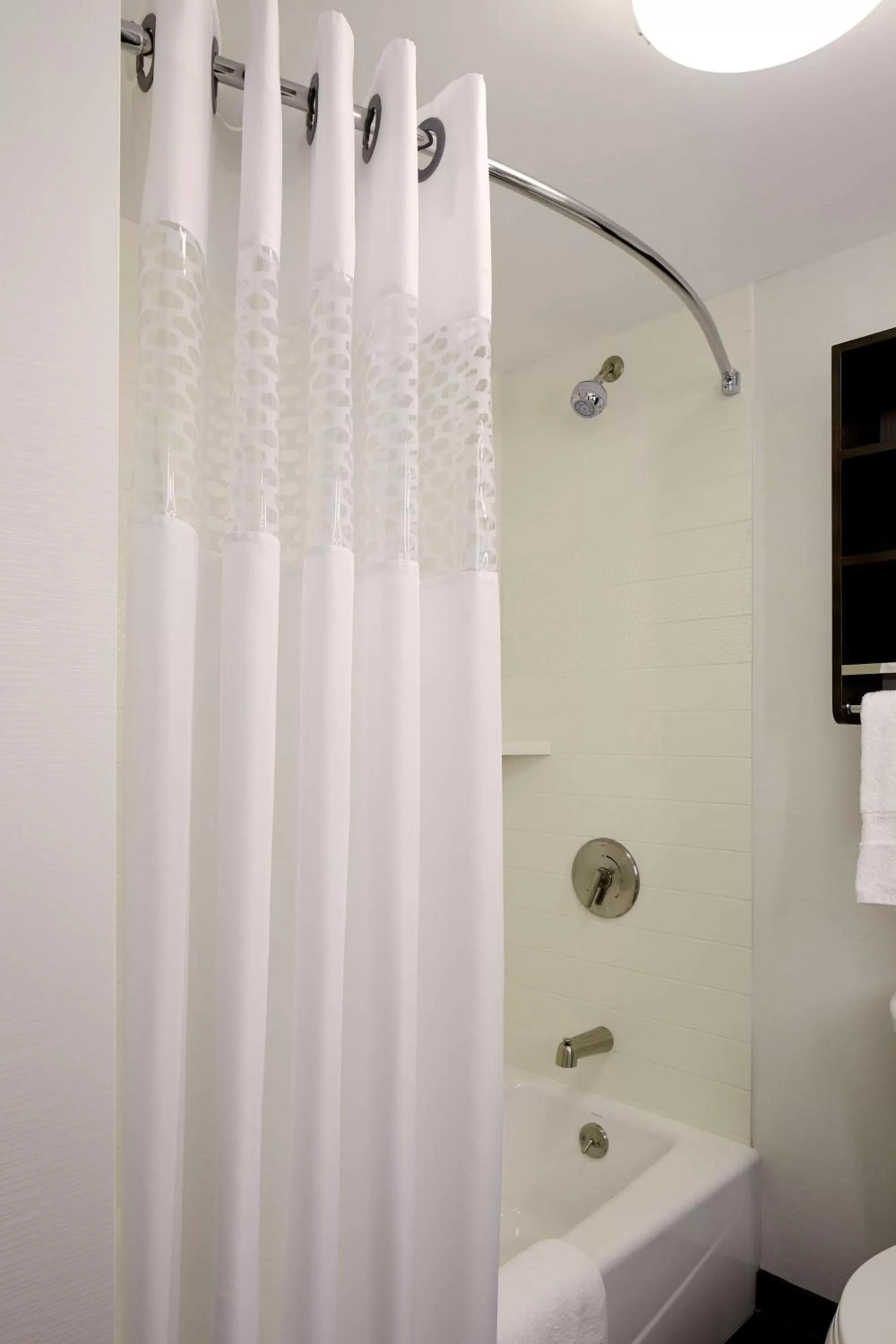 Bathroom in Hampton Inn Brooklyn Downtown