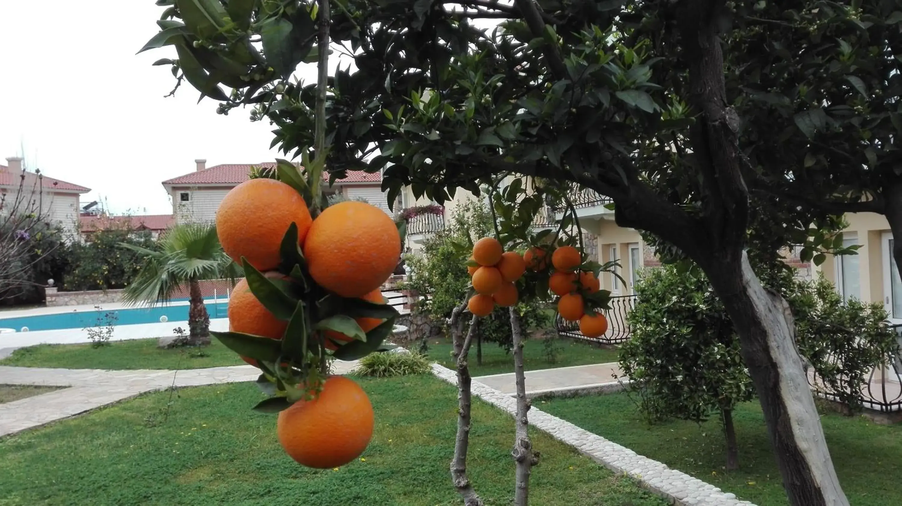 Day, Garden in Mavruka Hotel