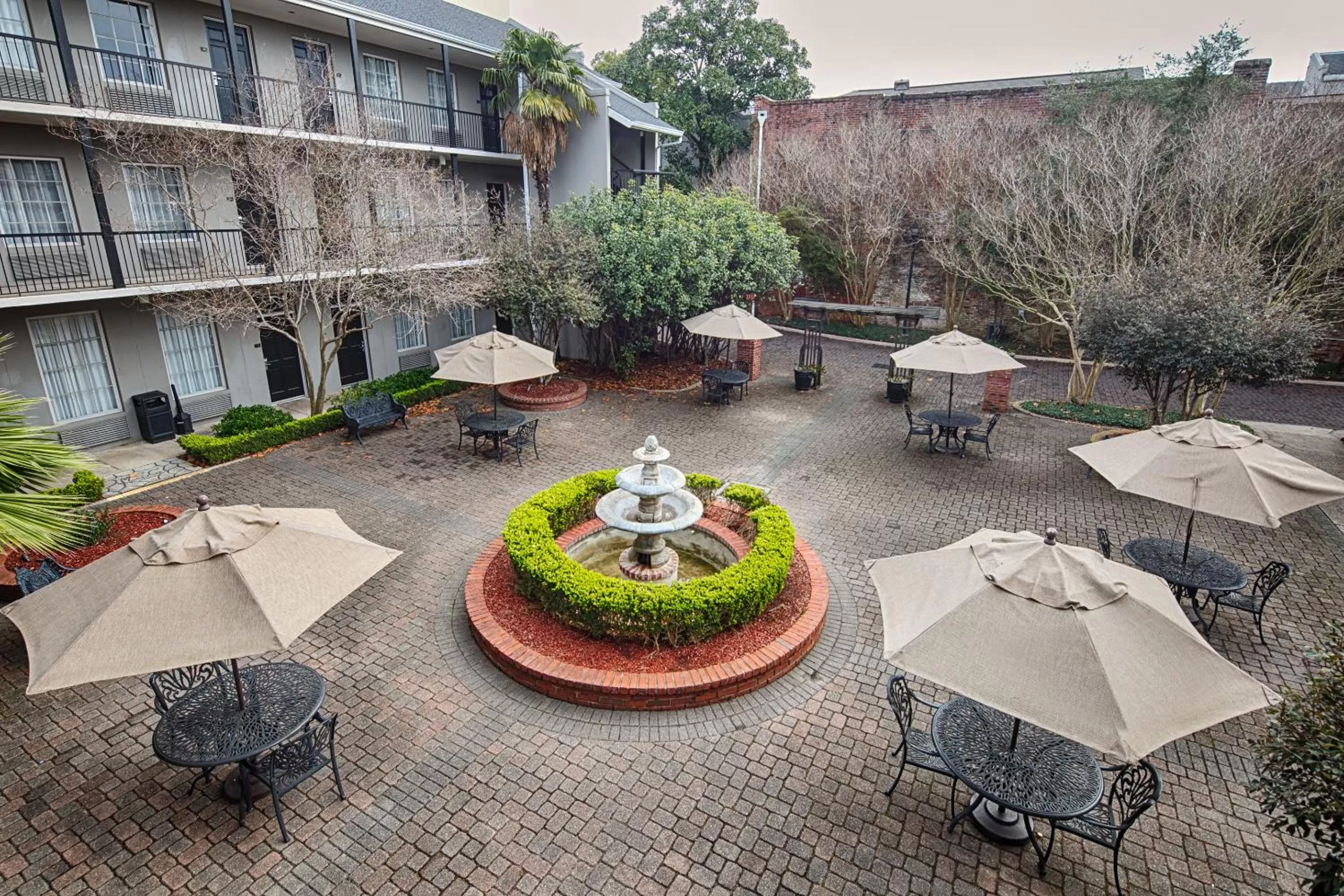 Garden in Maison Saint Charles