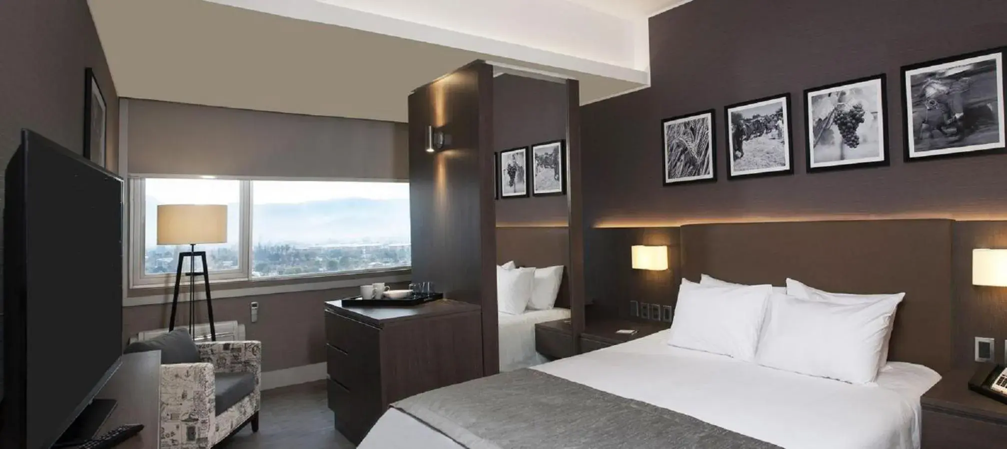 Superior Double Room in Hotel Terrado Rancagua