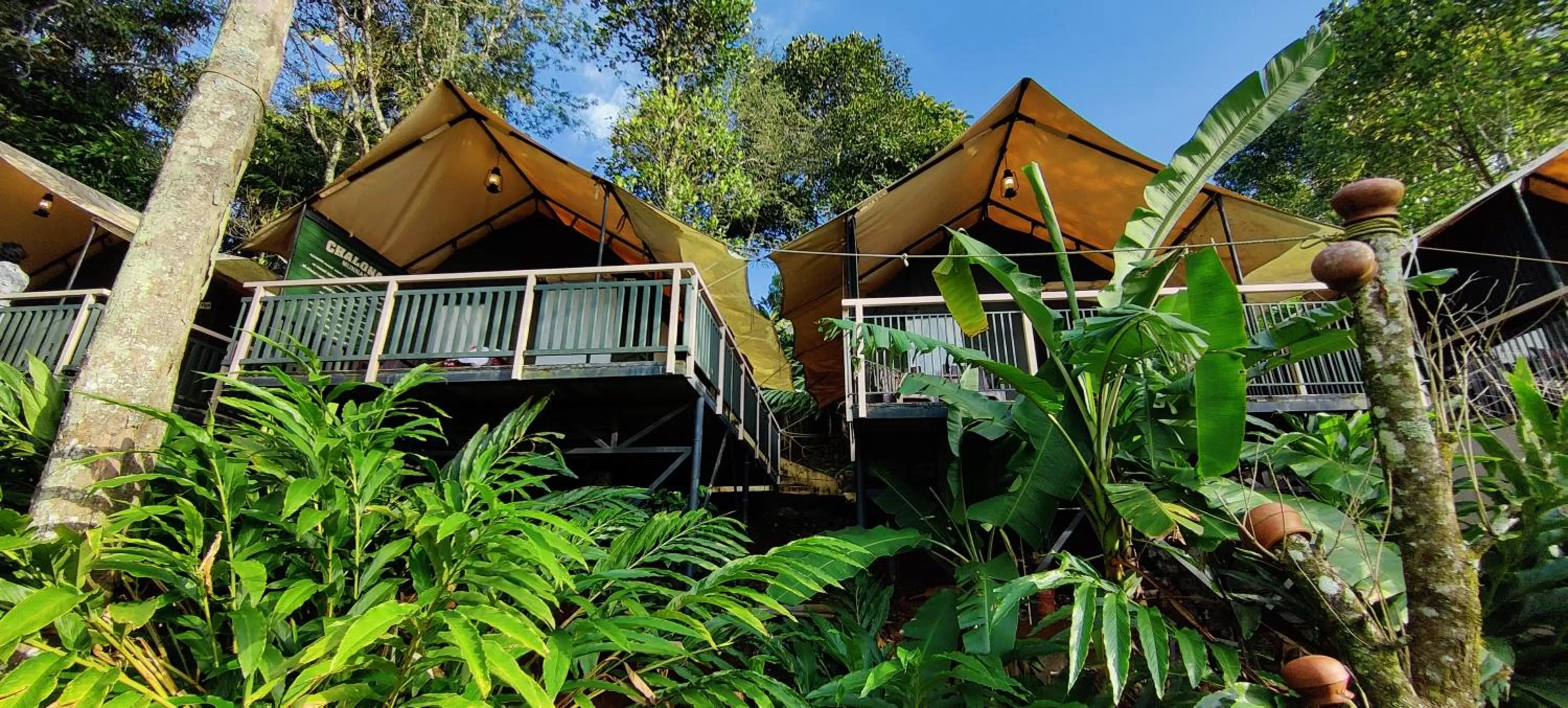 Property Building in Chalona Jungle Vibe