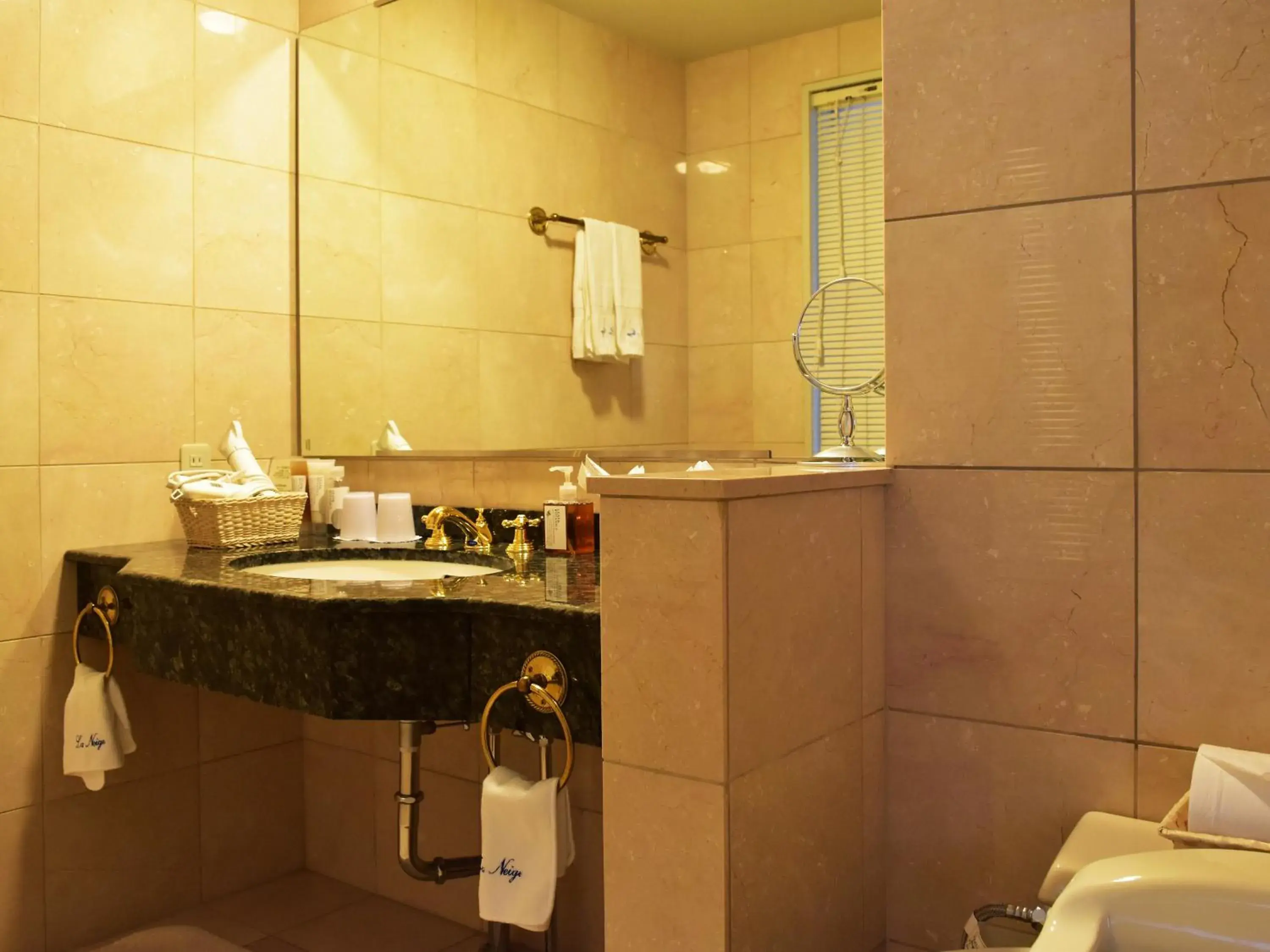 Photo of the whole room, Bathroom in Hakuba Resort Hotel La Neige Higashikan