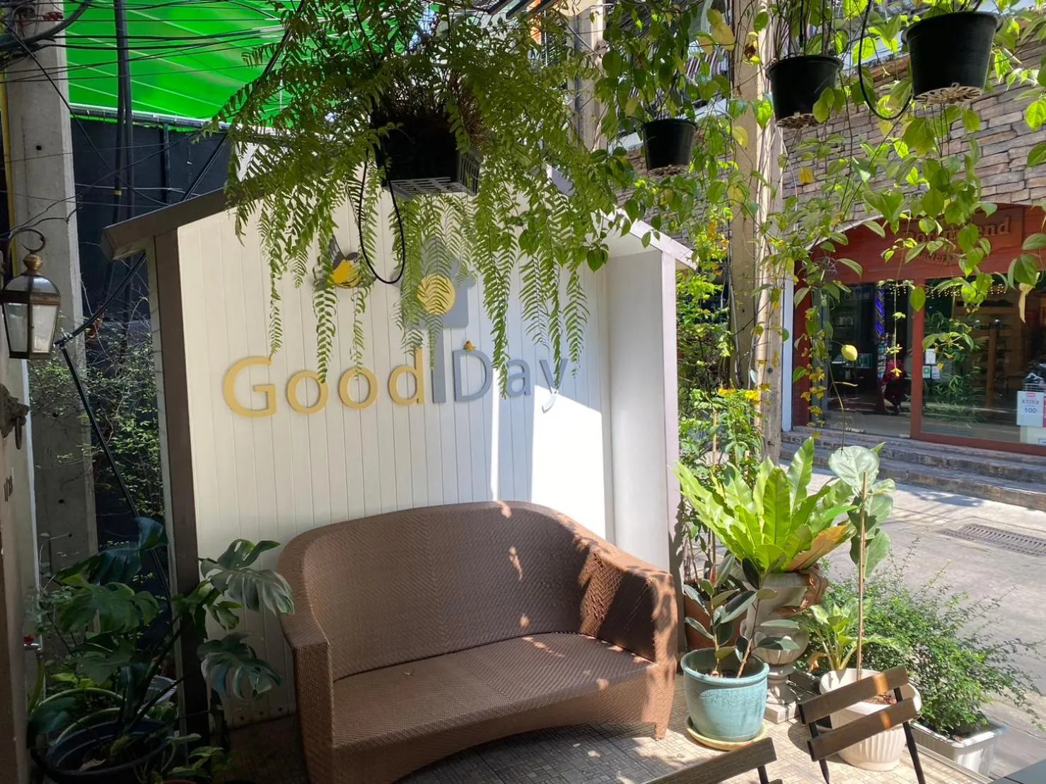 Garden in Good Day Hostel