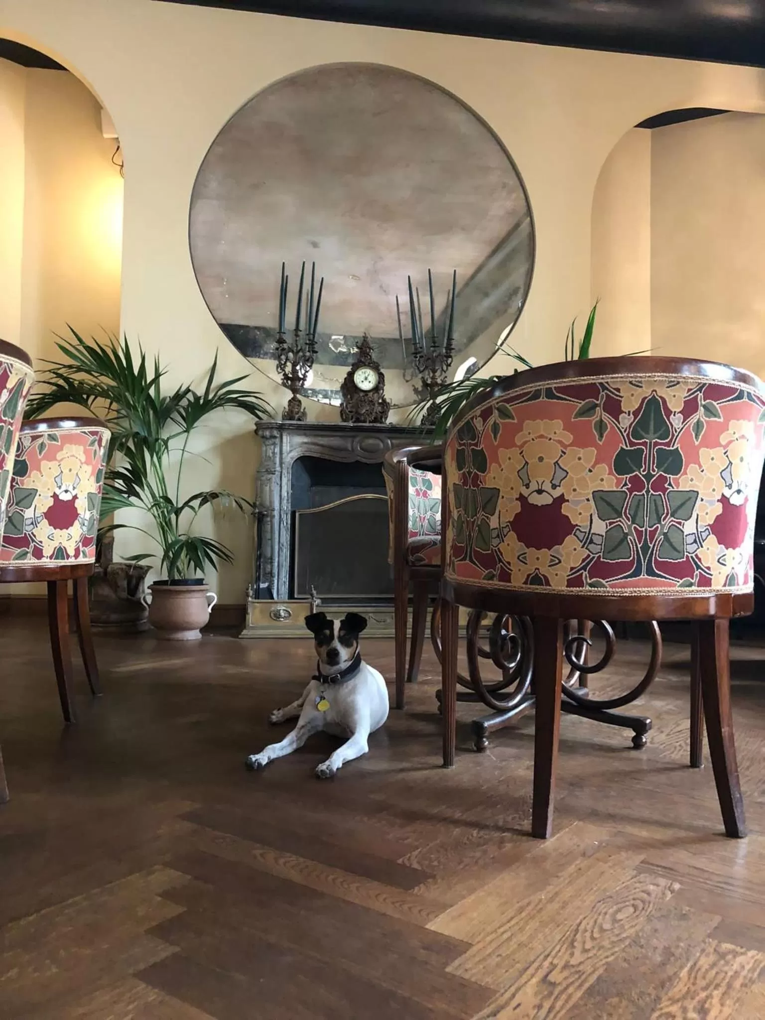 Restaurant/places to eat in Hotel Locarno