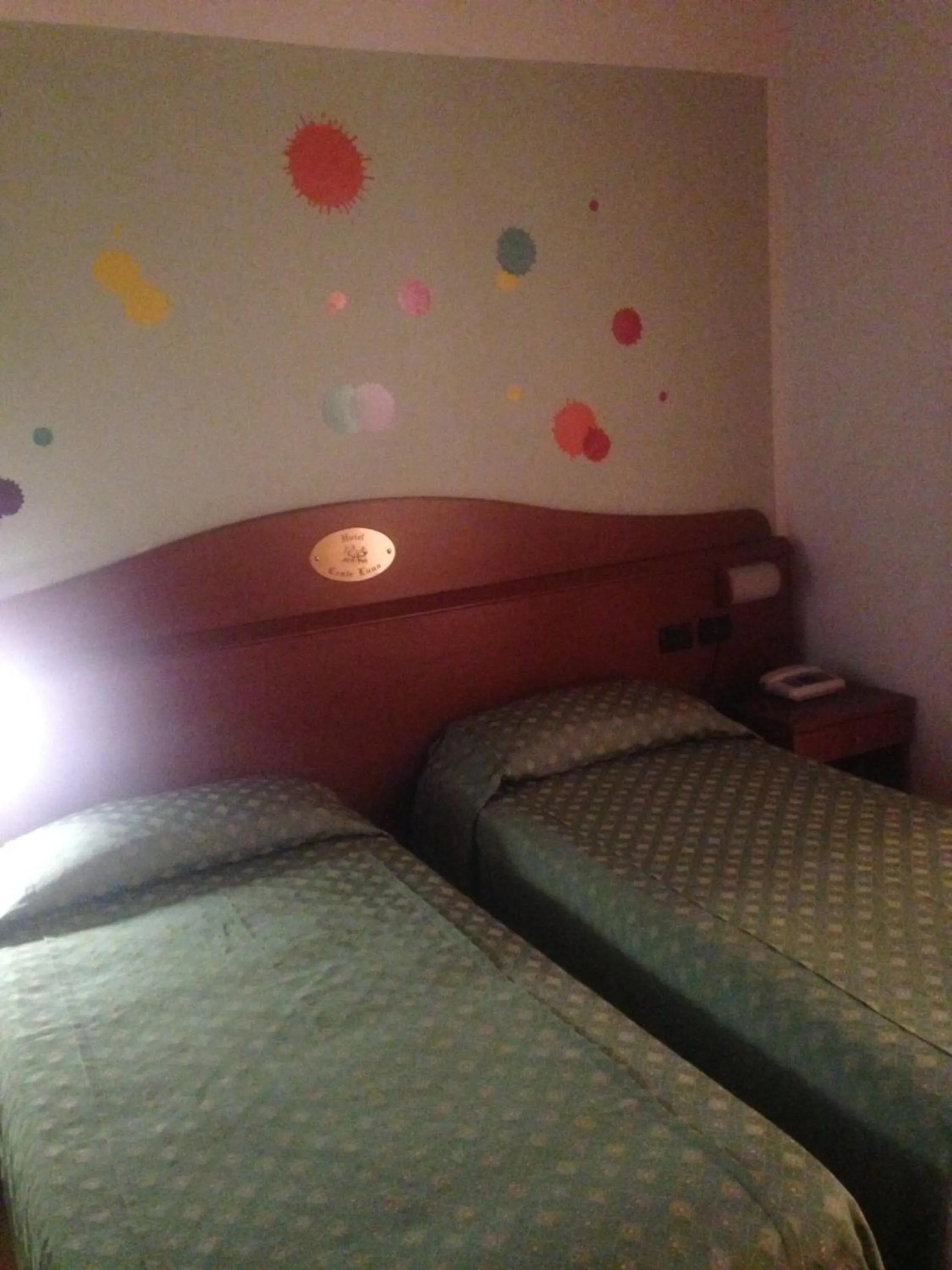 Photo of the whole room in Hotel Conte Luna