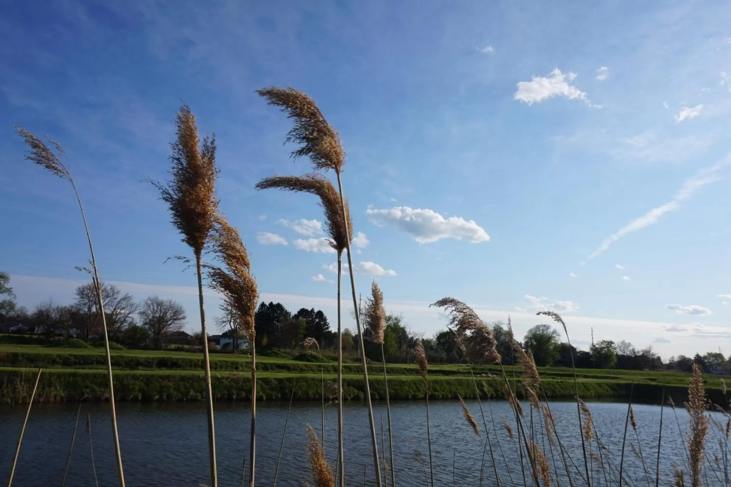 Natural landscape in Bellevue Hotel and Suites