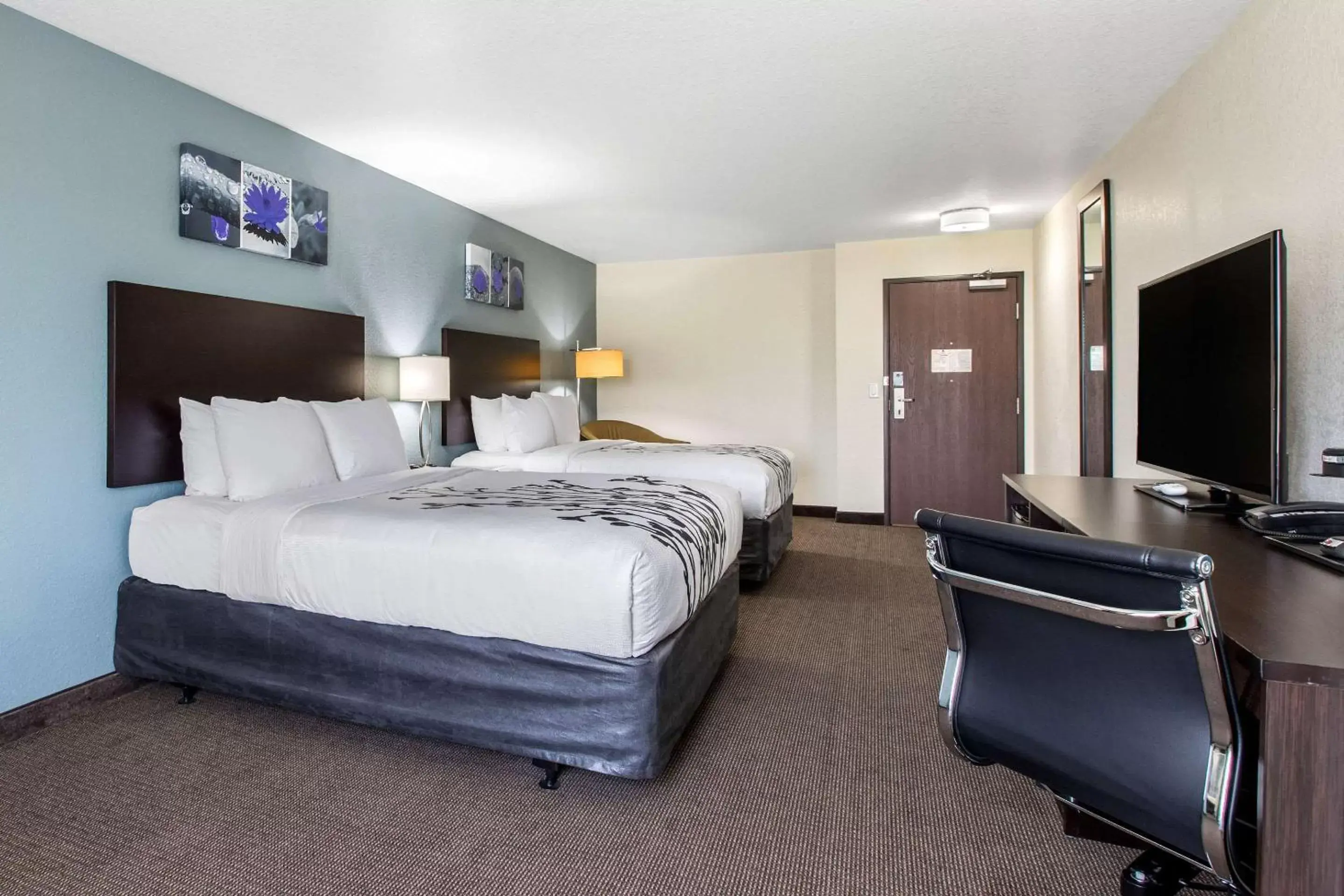 Photo of the whole room, Bed in Sleep Inn & Suites Ankeny - Des Moines