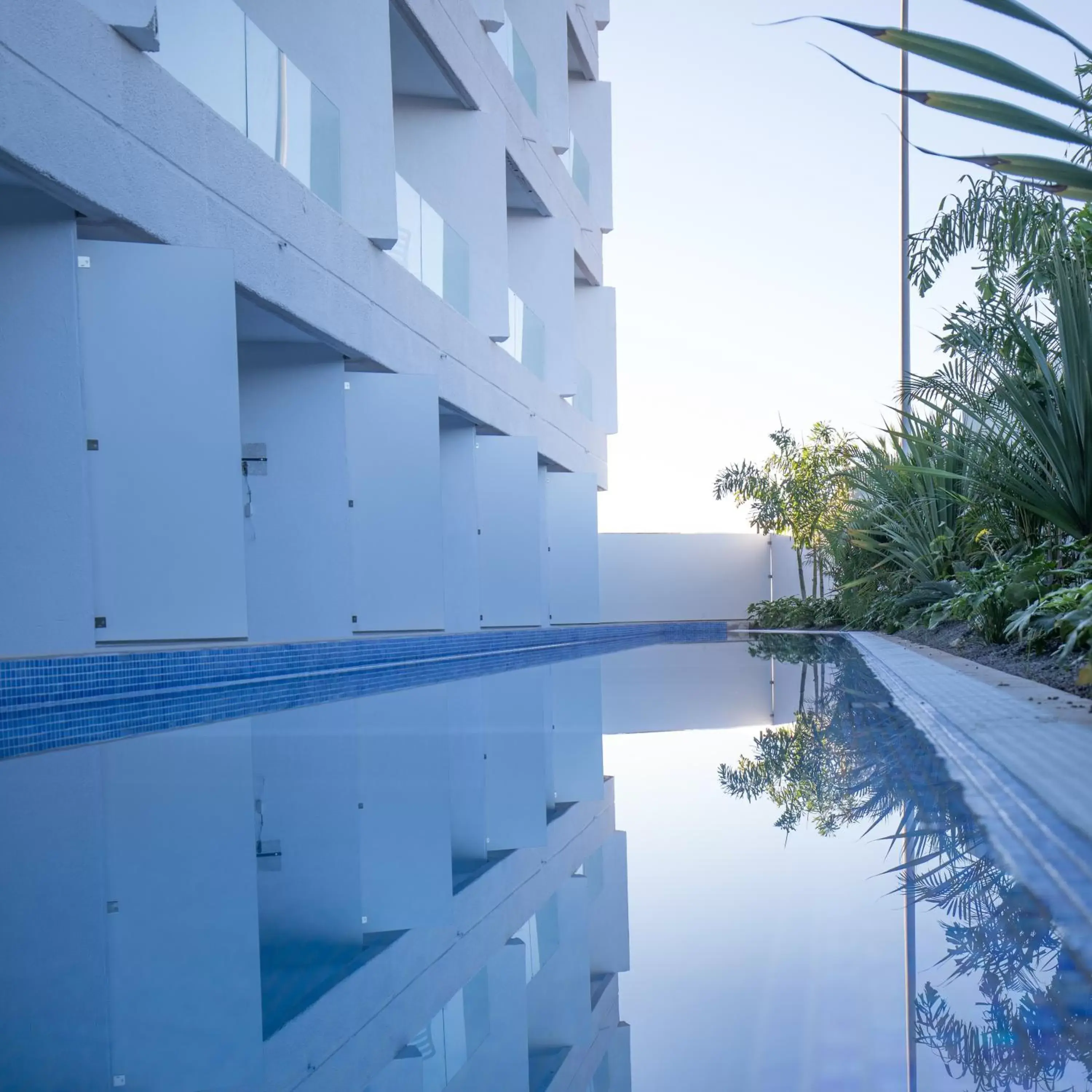 Swim-Up Double Room in MYND Adeje Swim-Up Double Room in MYND Adeje