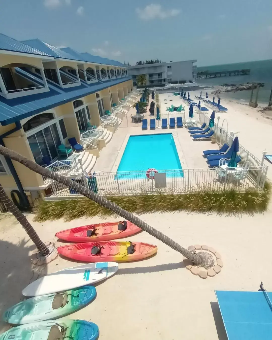 Swimming pool, Pool View in Glunz Ocean Beach Hotel and Resort