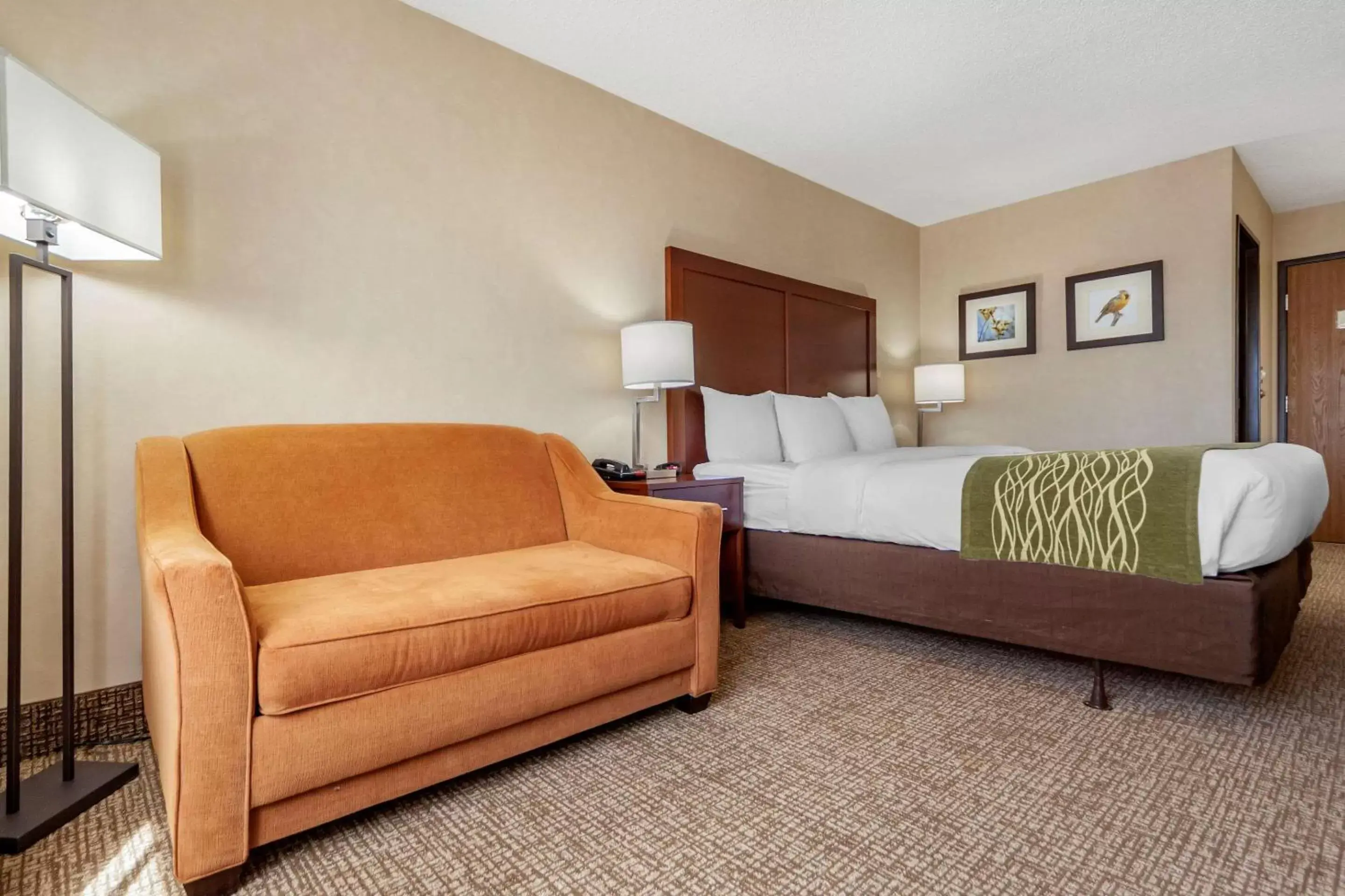 Photo of the whole room in Comfort Inn Grand Island North