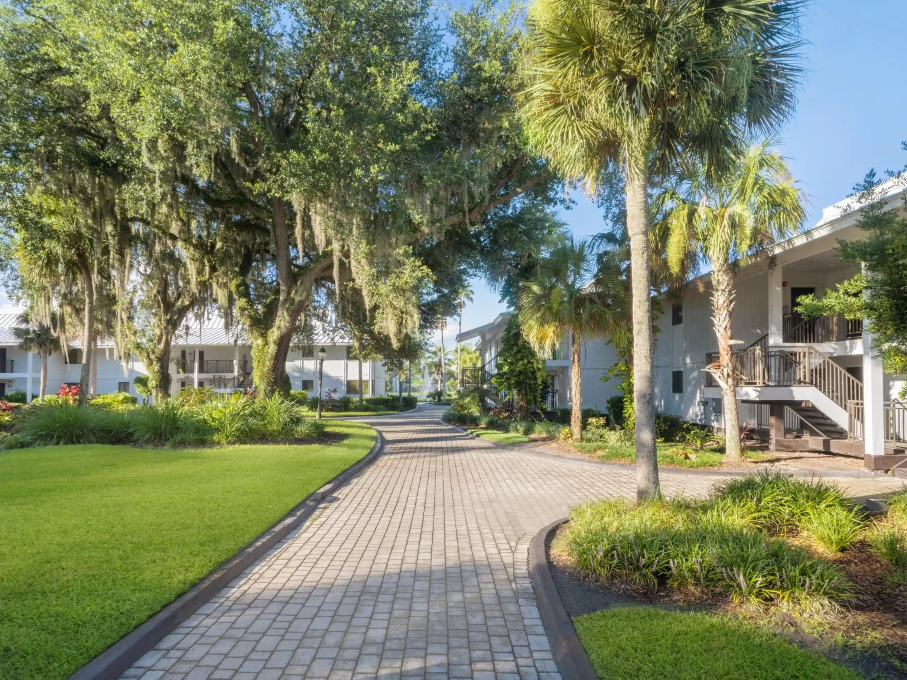 Day, Garden in Saddlebrook Golf Resort & Spa Tampa North-Wesley Chapel