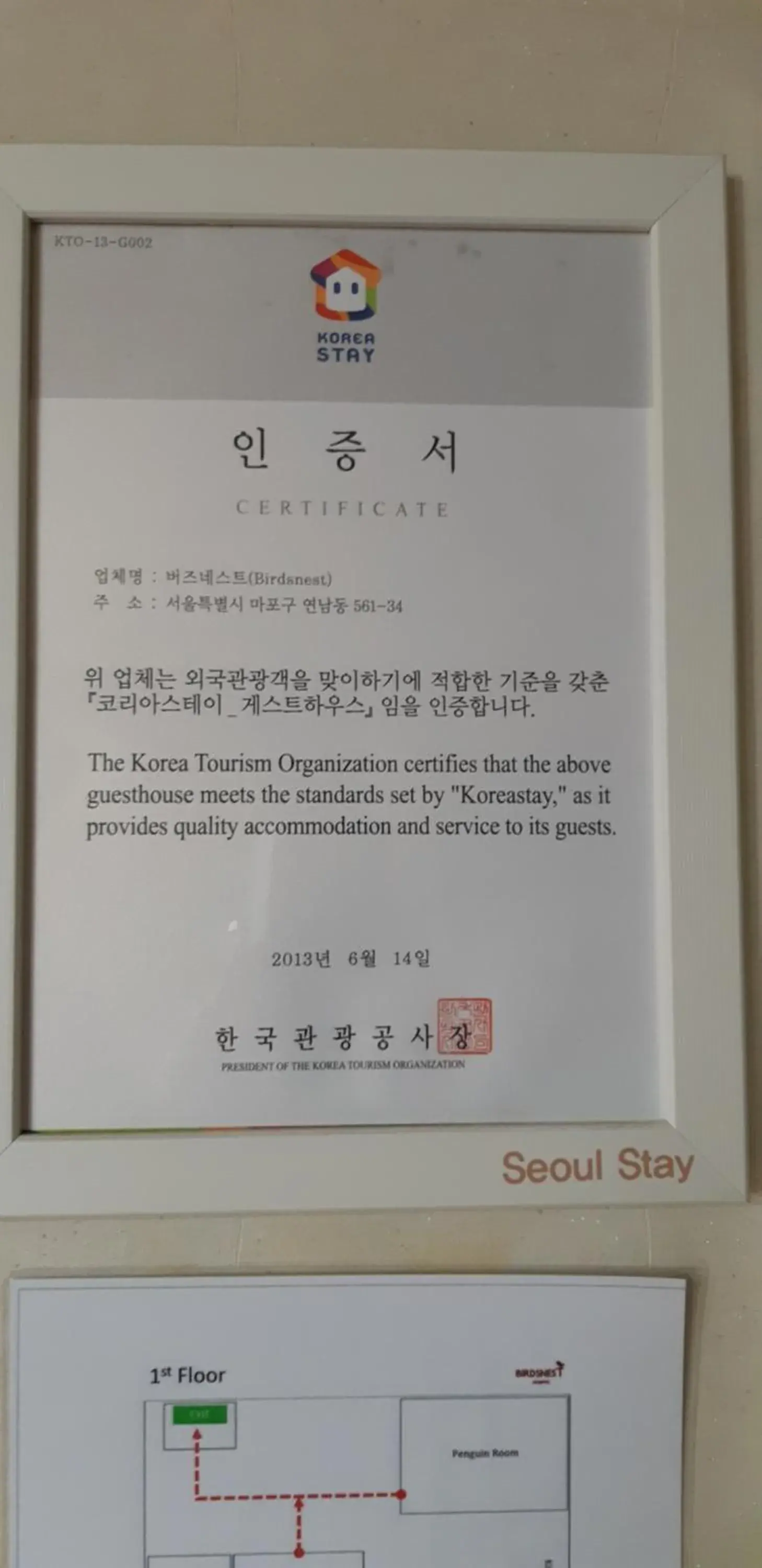 Logo/Certificate/Sign in Birdsnest Hostel Hongdae