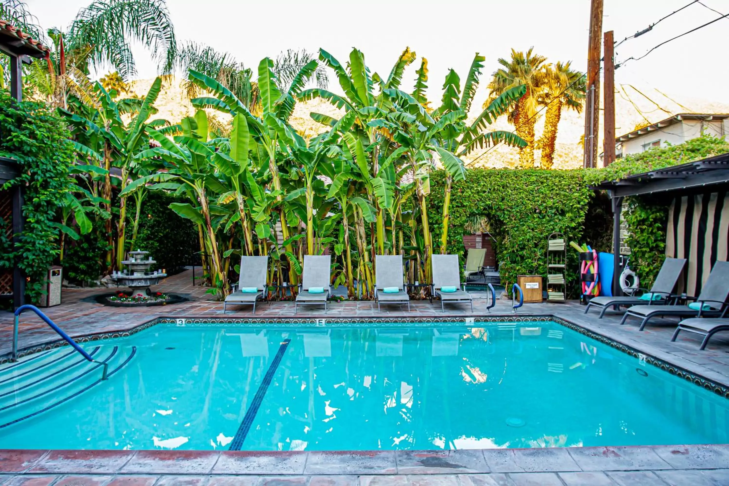 Swimming Pool in Hotel California