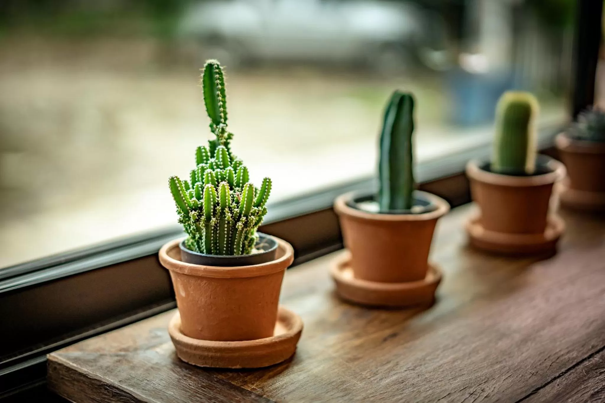 Lobby or reception in Ingmon House