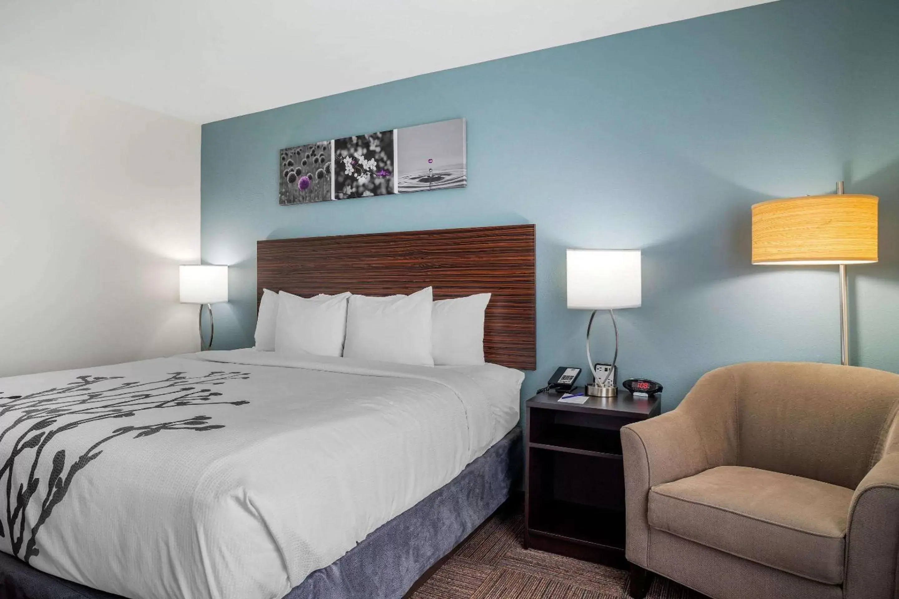 King Room with Shower - Non-Smoking in Sleep Inn & Suites near Westchase