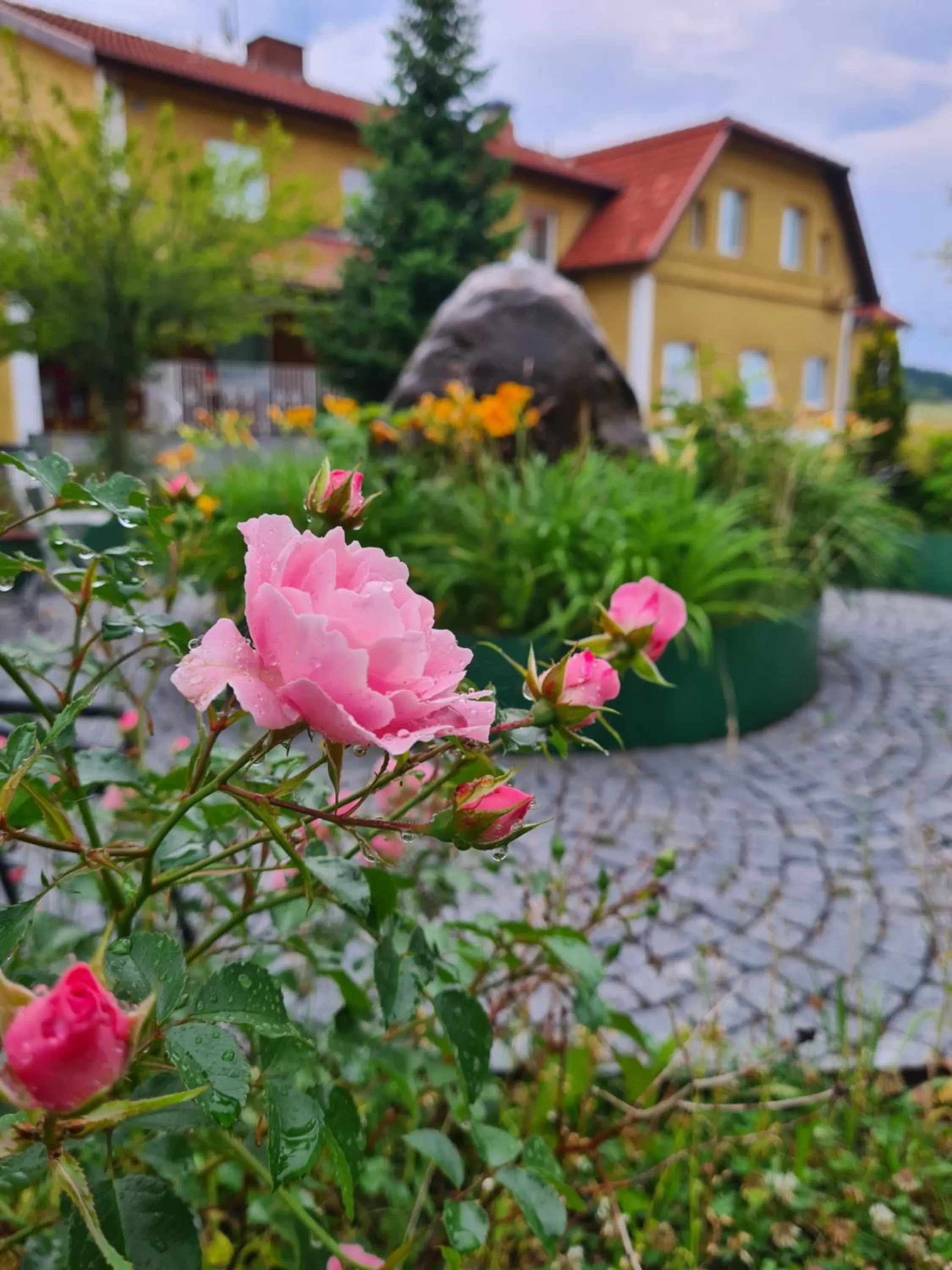 Property building in Dagsholm Hotell