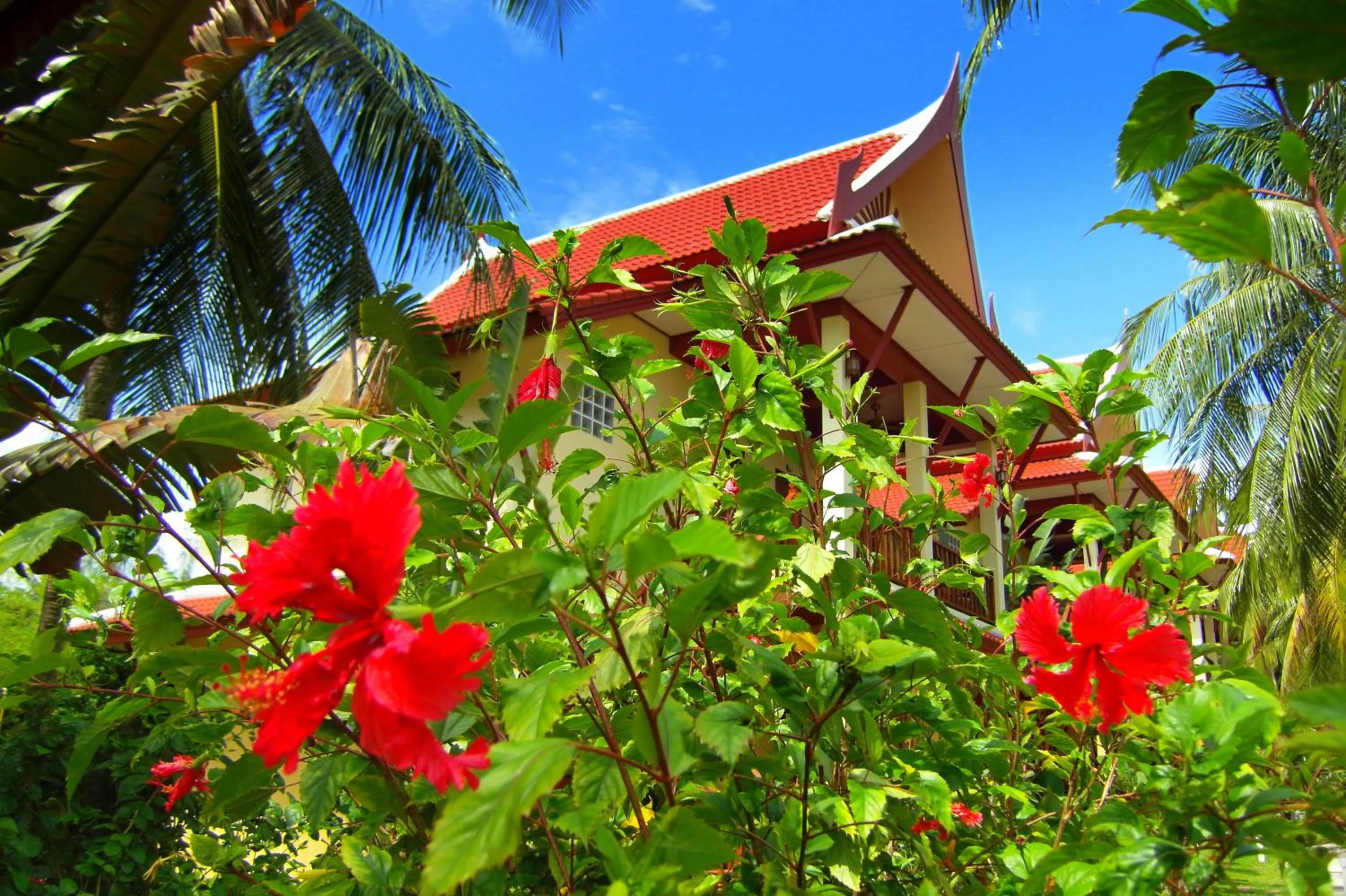 Garden view in Palm Village