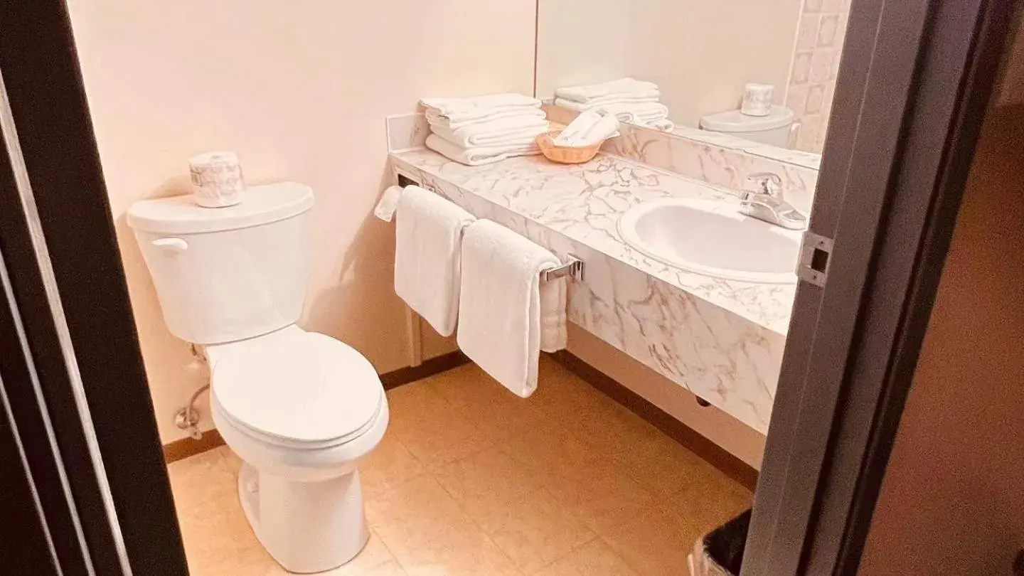 Toilet, Bathroom in Airport Inn