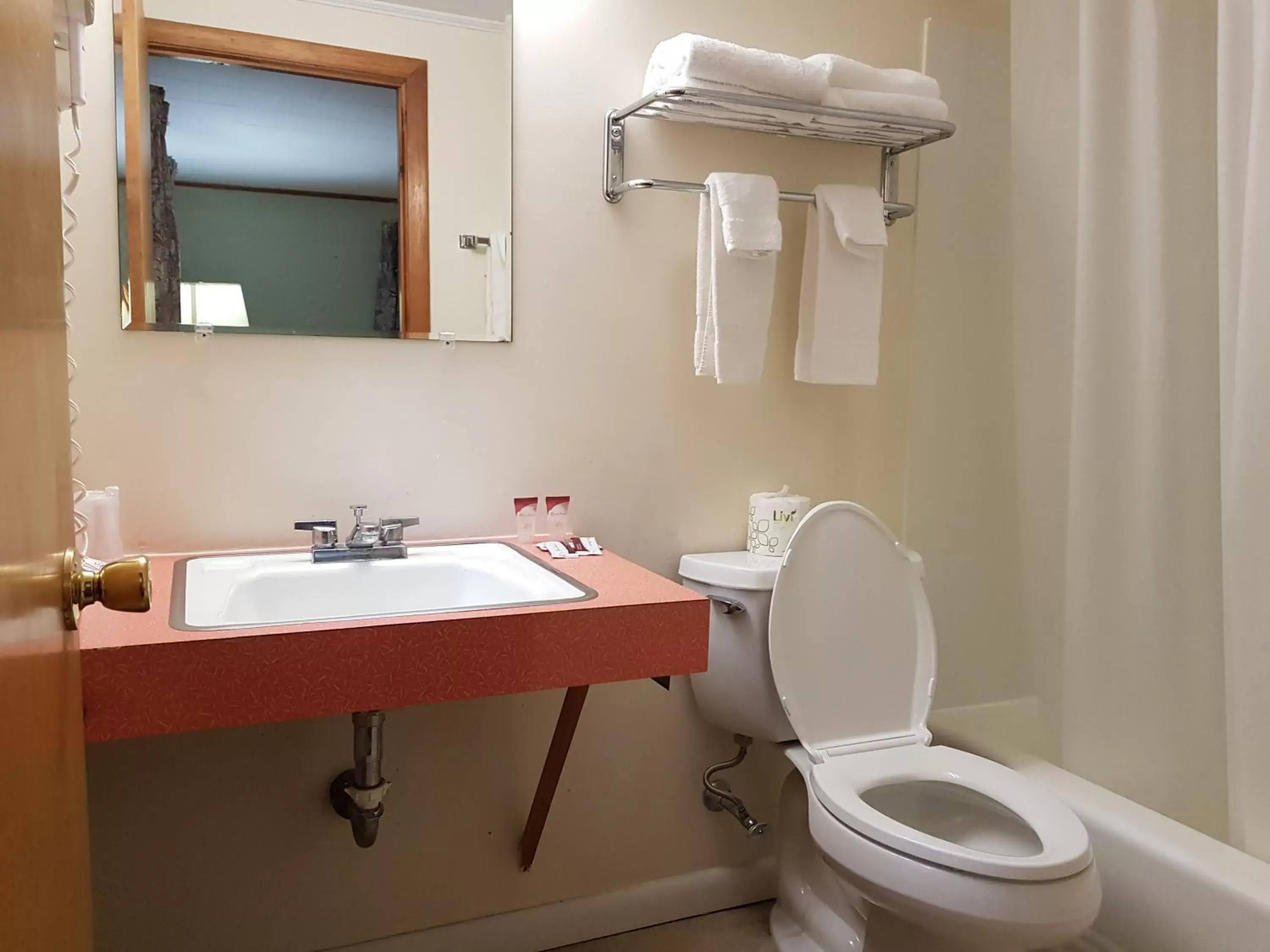 Bathroom in Franconia Notch Motel