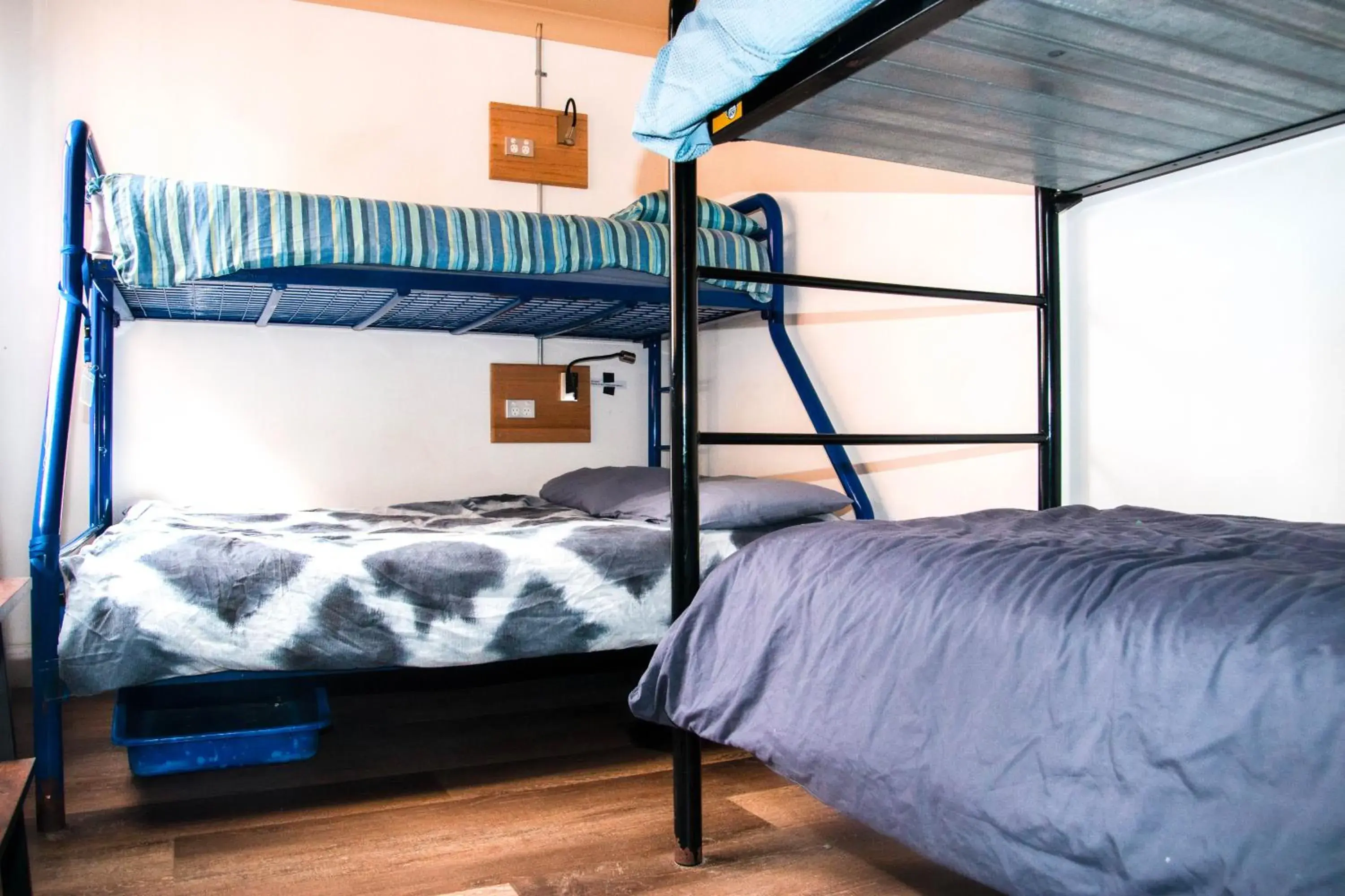 Bunk Bed in Mad Monkey Coogee Beach