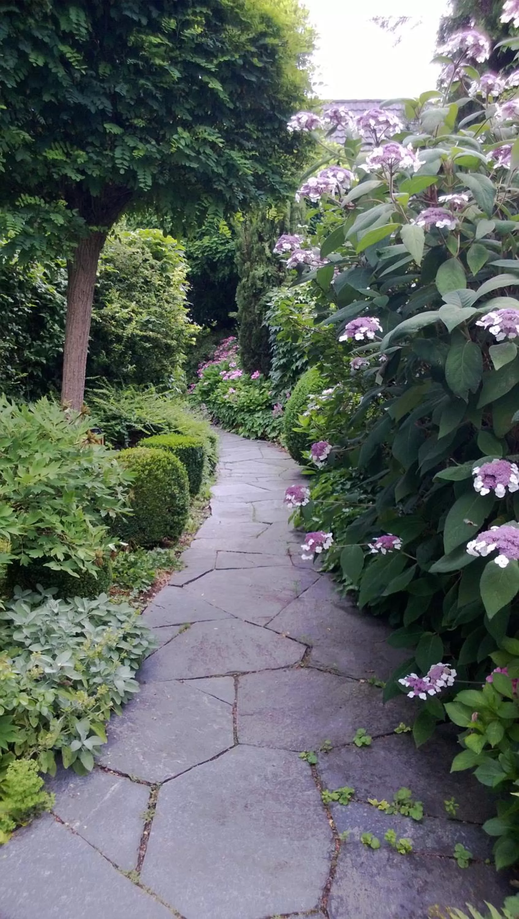 Patio in Hotel Krone Überlingen am Ried