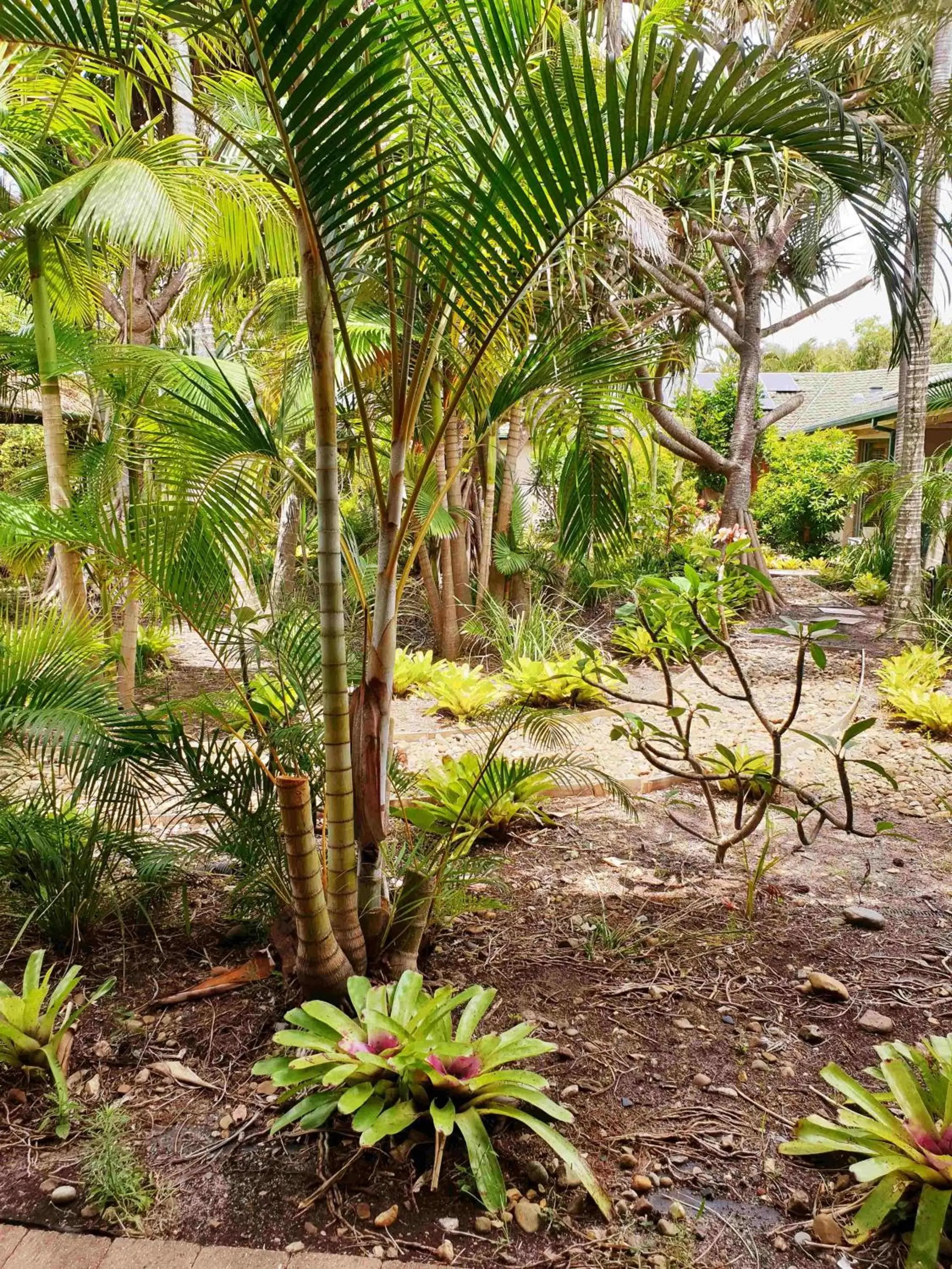 Garden in Ballina Beach Resort