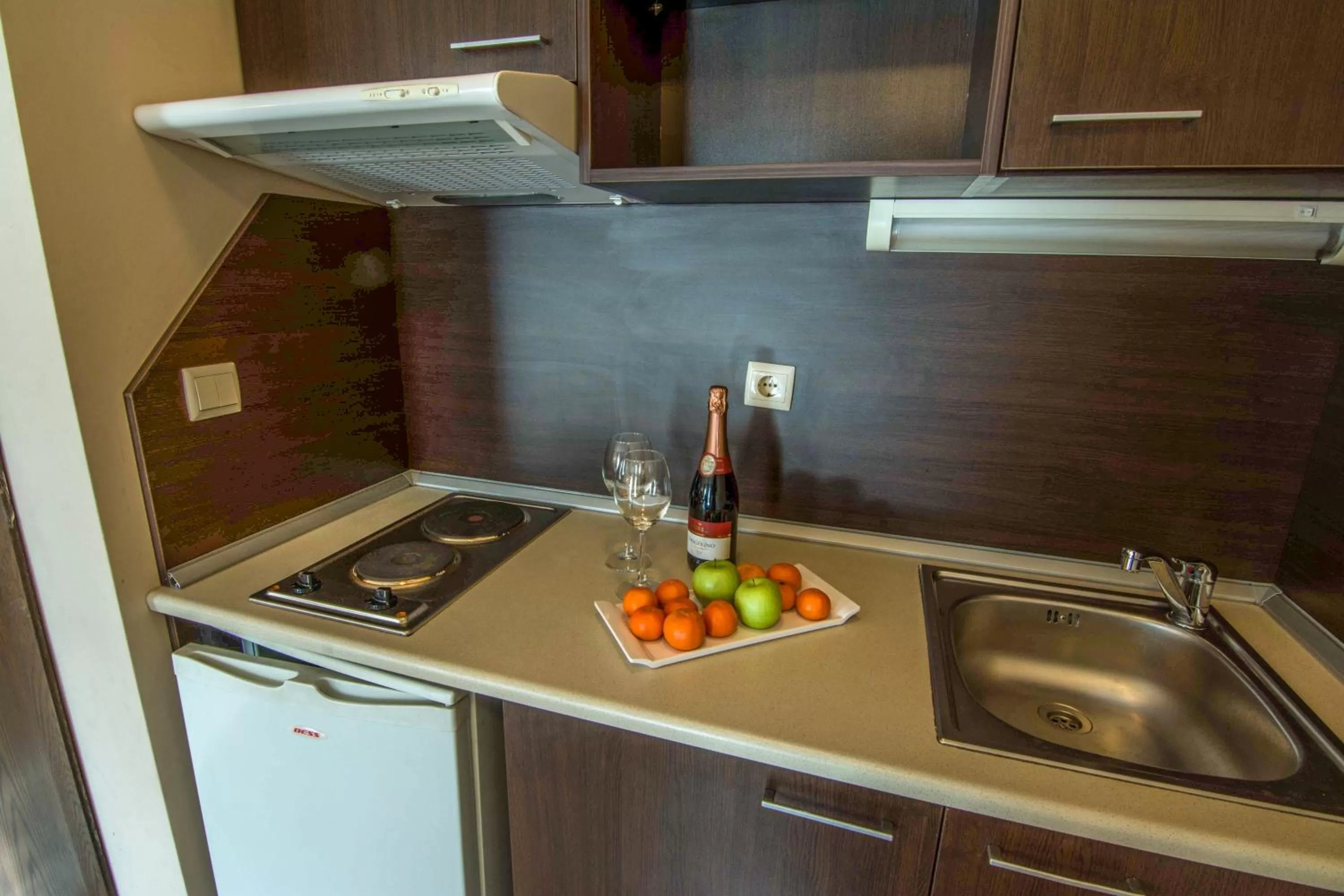 Kitchen or kitchenette, Kitchen/Kitchenette in StayInn Banderitsa Apartments with kitchen & BBQ