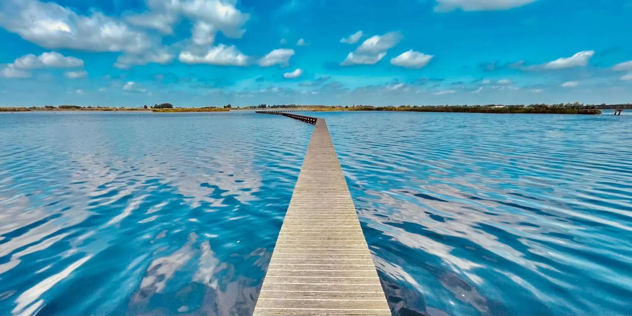 Swimming Pool in Guesthouse Het Gouden Eiland