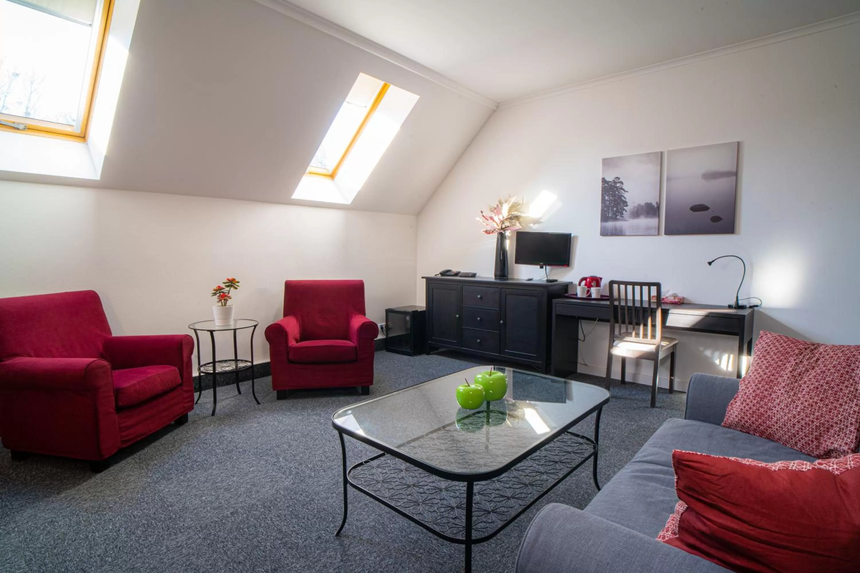 TV and multimedia in TeleDom Hotel