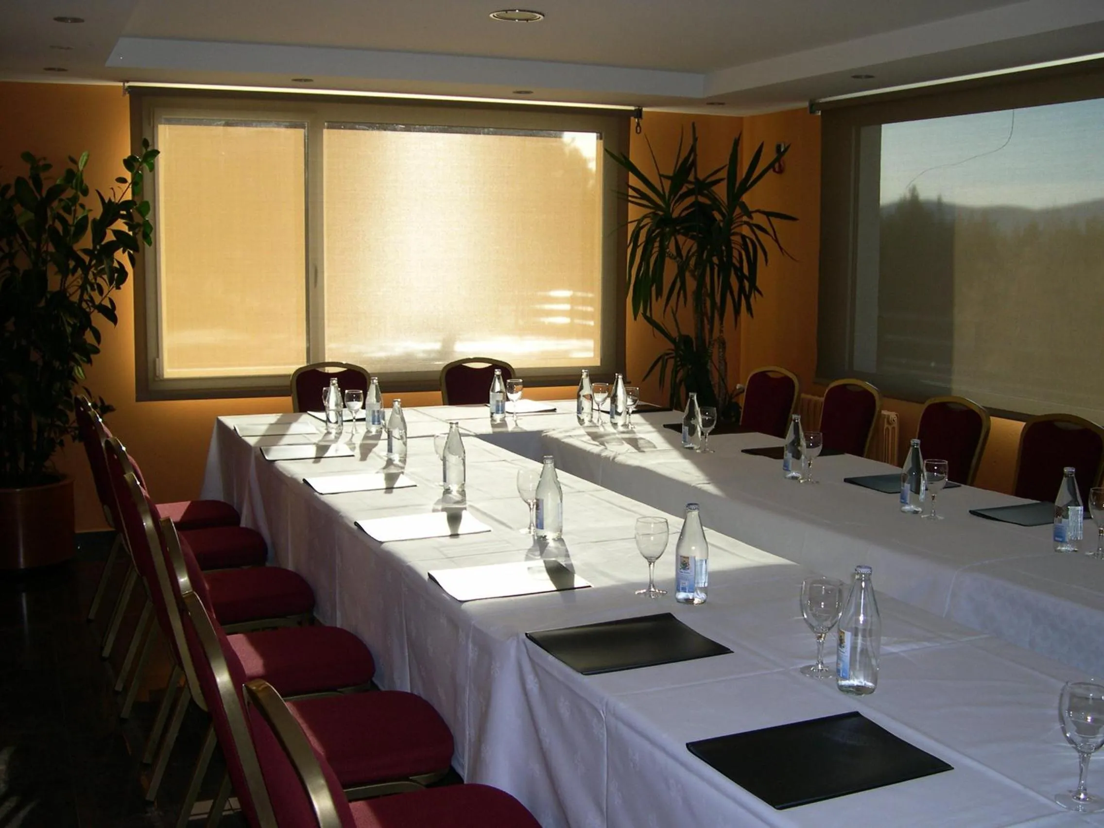 Business facilities in Coma Bella