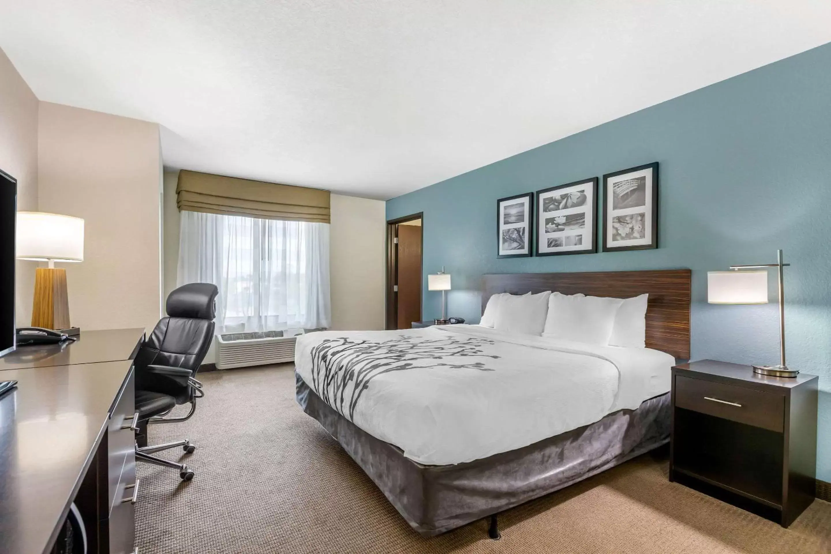 Photo of the whole room, Bed in Sleep Inn & Suites Ames near ISU Campus