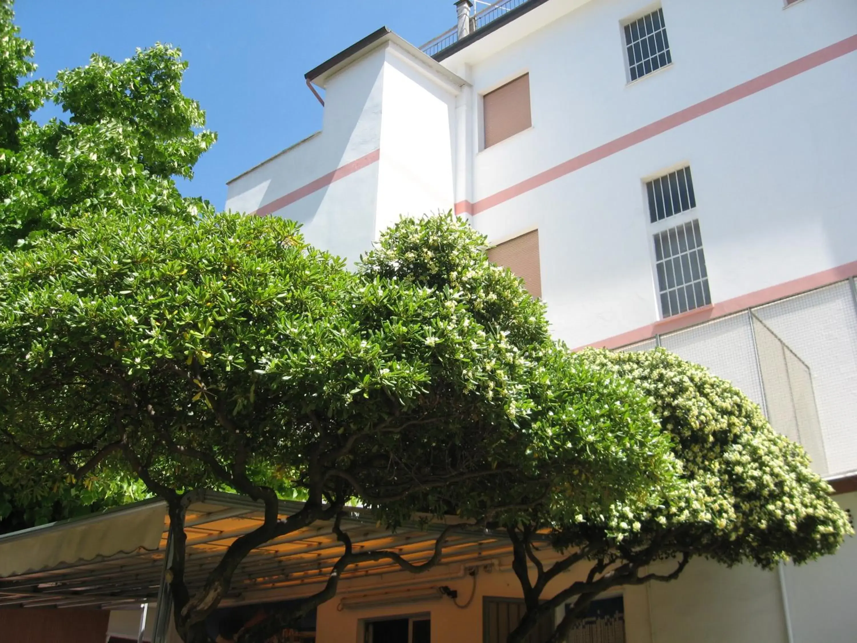 Property Building in Hotel Eleonora