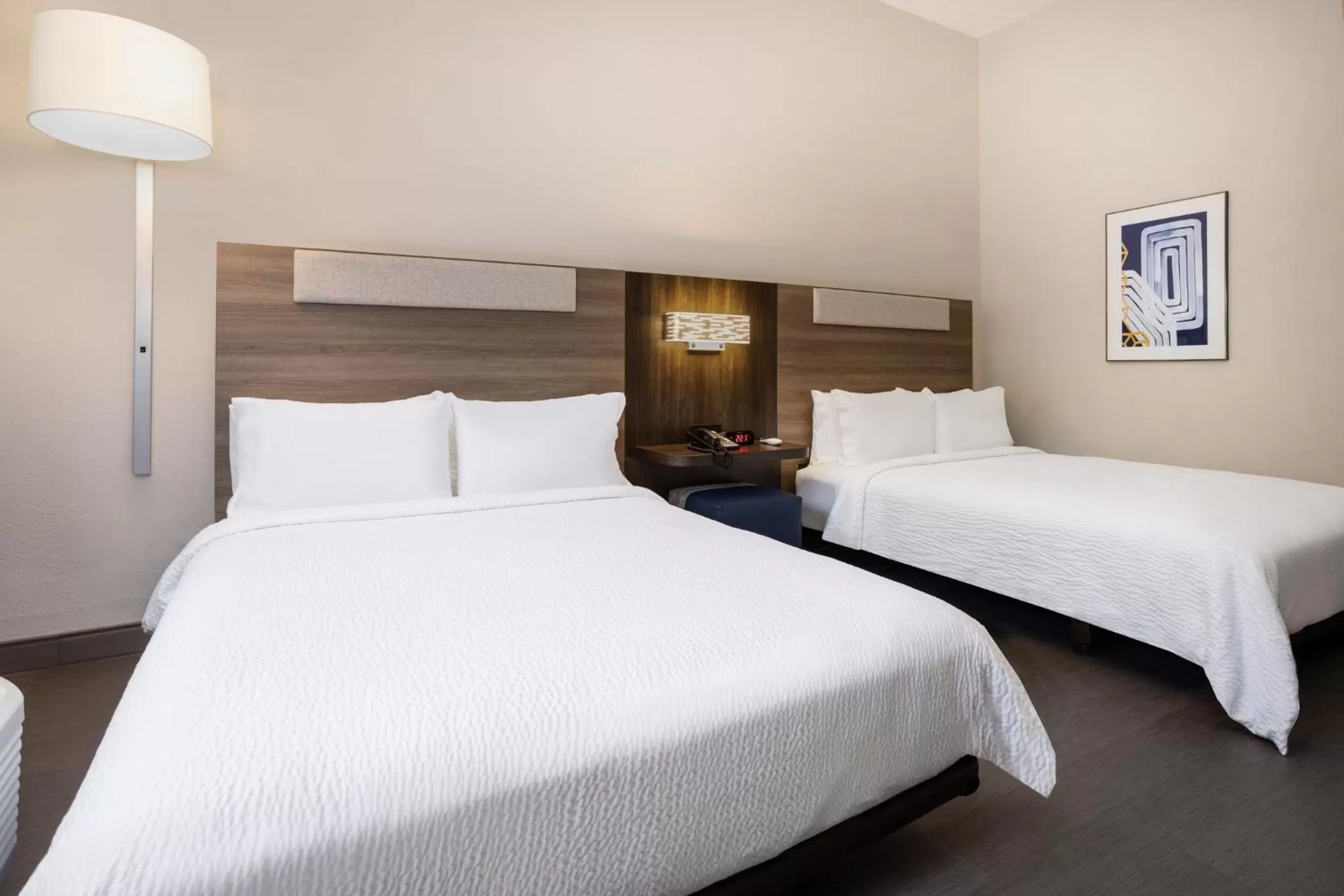 Photo of the whole room, Bed in Holiday Inn Express and Suites Tampa I-75 at Bruce B. Downs by IHG